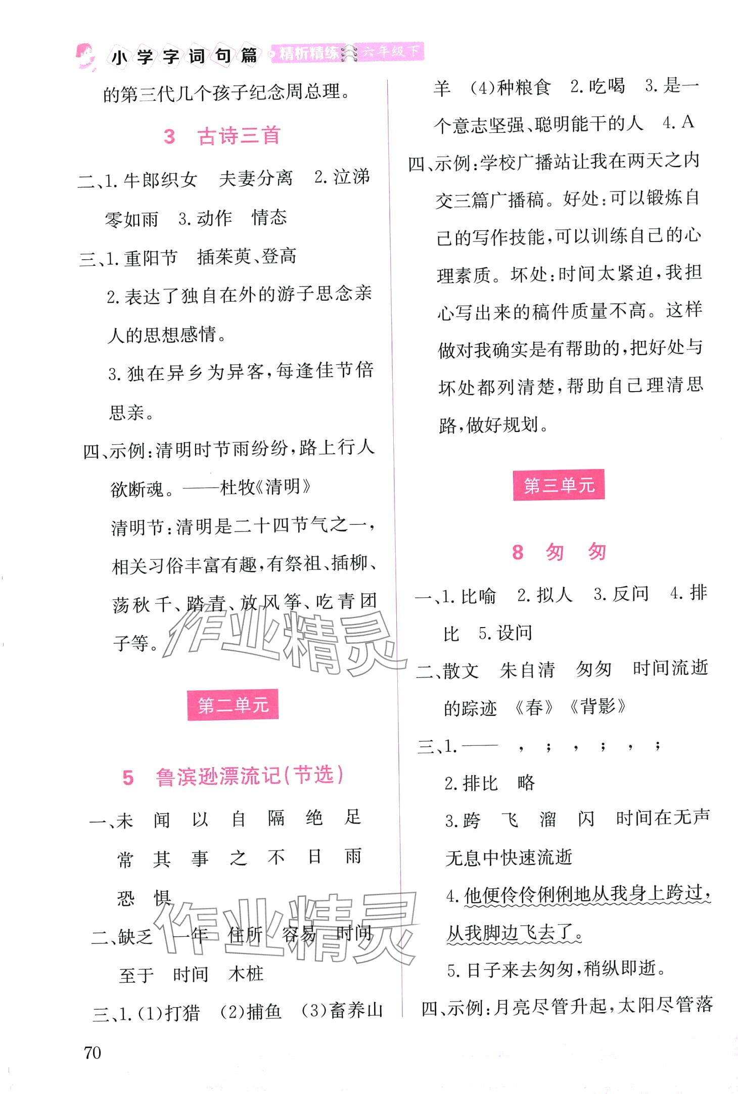 2024年小學(xué)字詞句篇精析精練六年級語文下冊人教版 第2頁