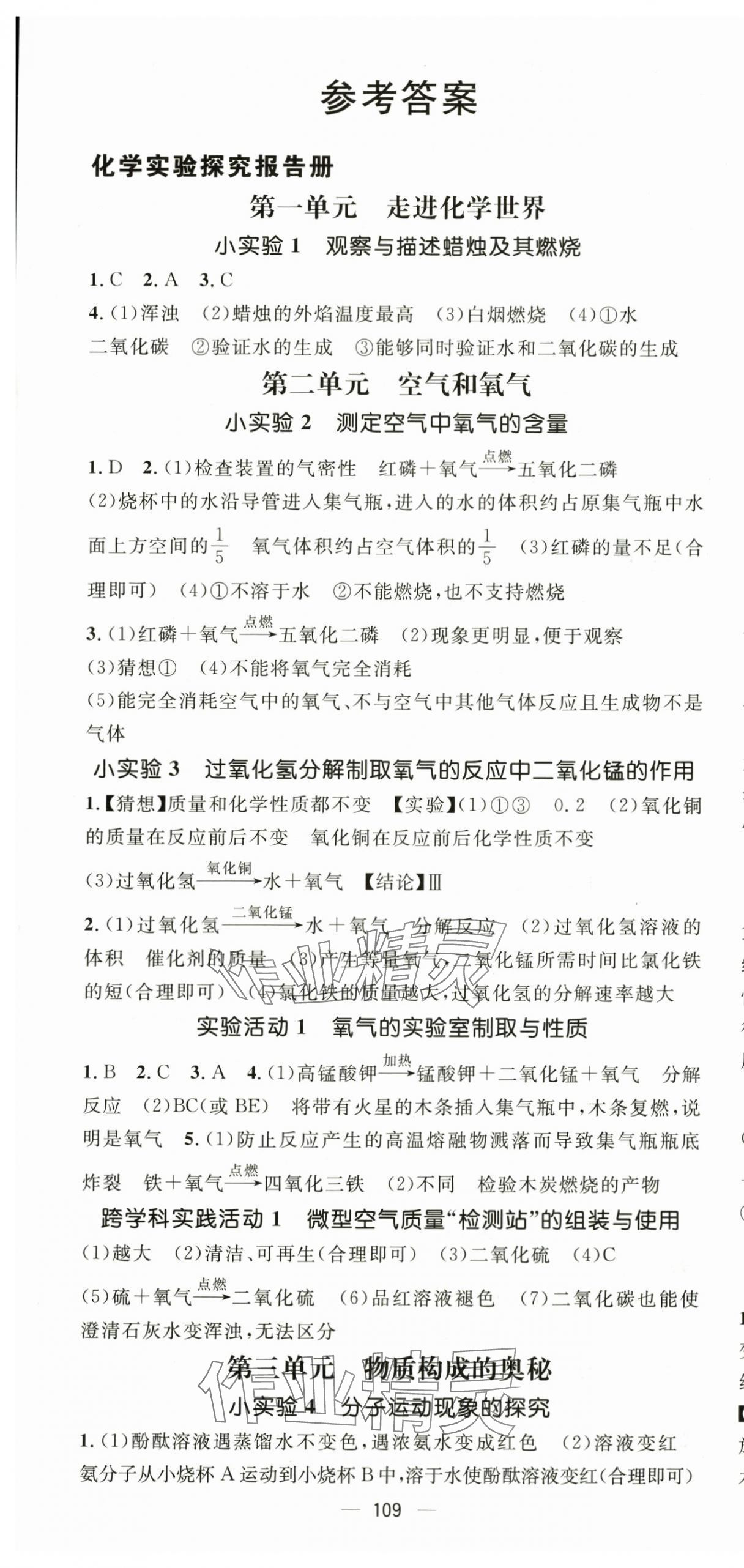 2025年实验探究报告册北京师范大学出版社九年级化学全一册人教版贵州专版 第1页