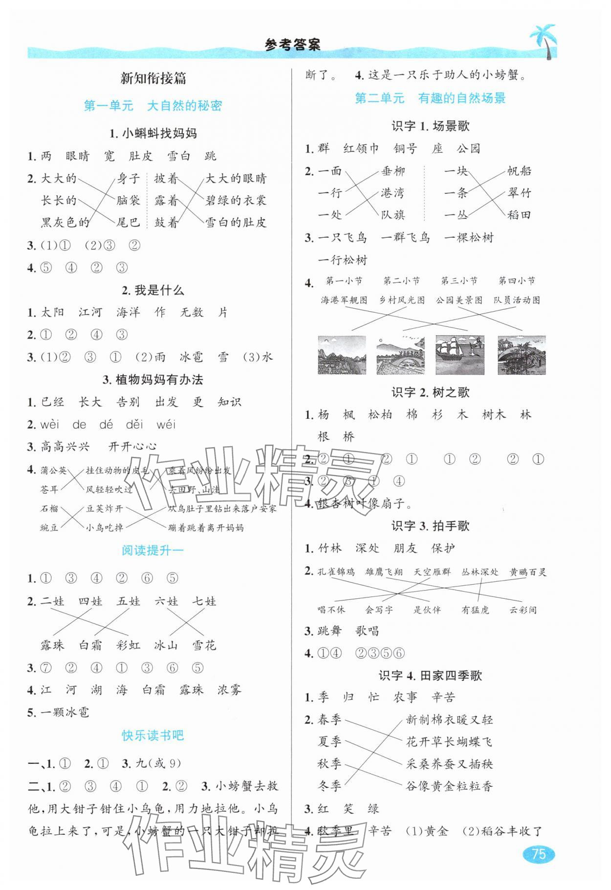2025年暑假衔接一升二年级语文人教版延边人民出版社 参考答案第2页