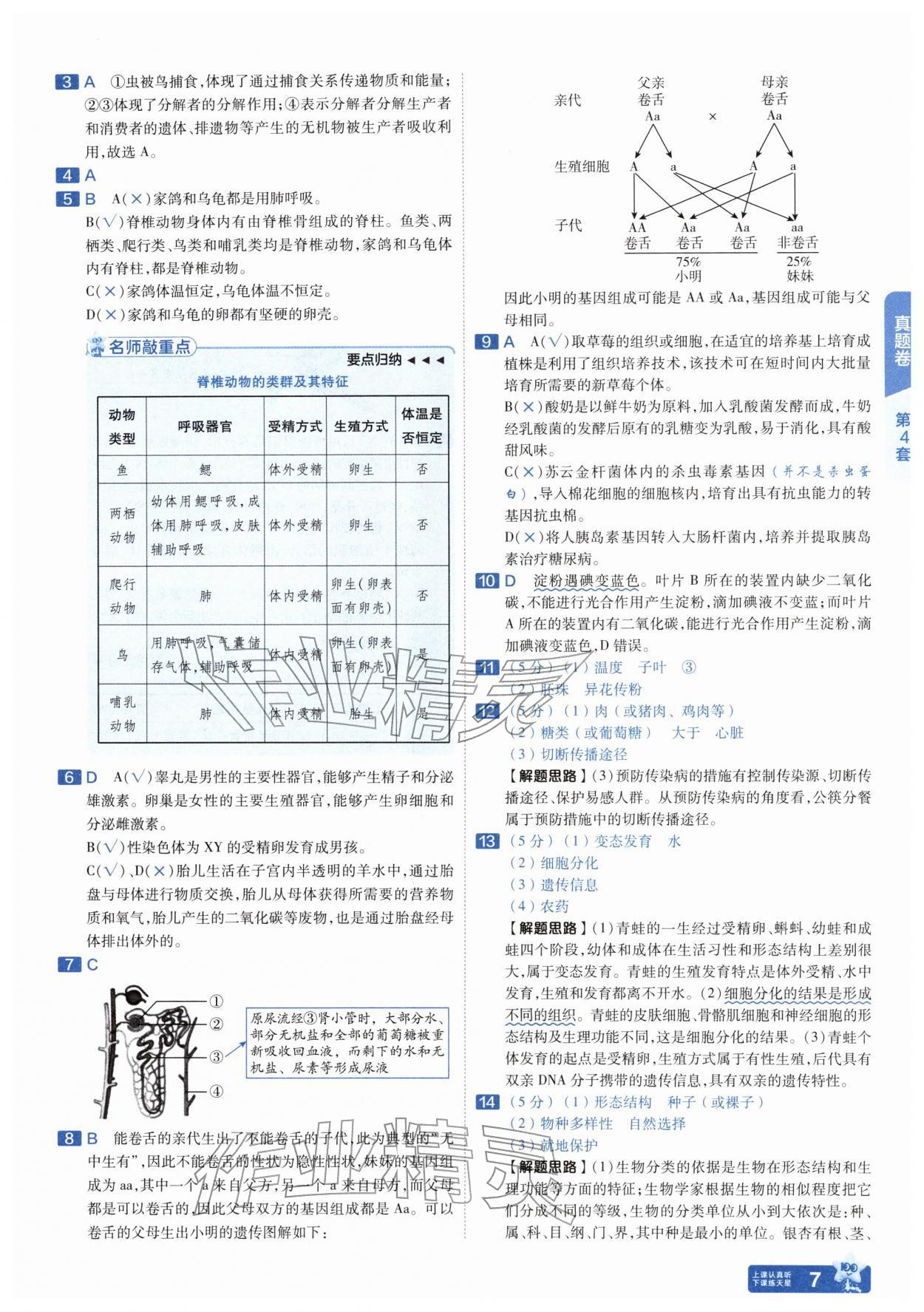 2026年金考卷45套汇编生物安徽专版&nbsp;参考答案第6页