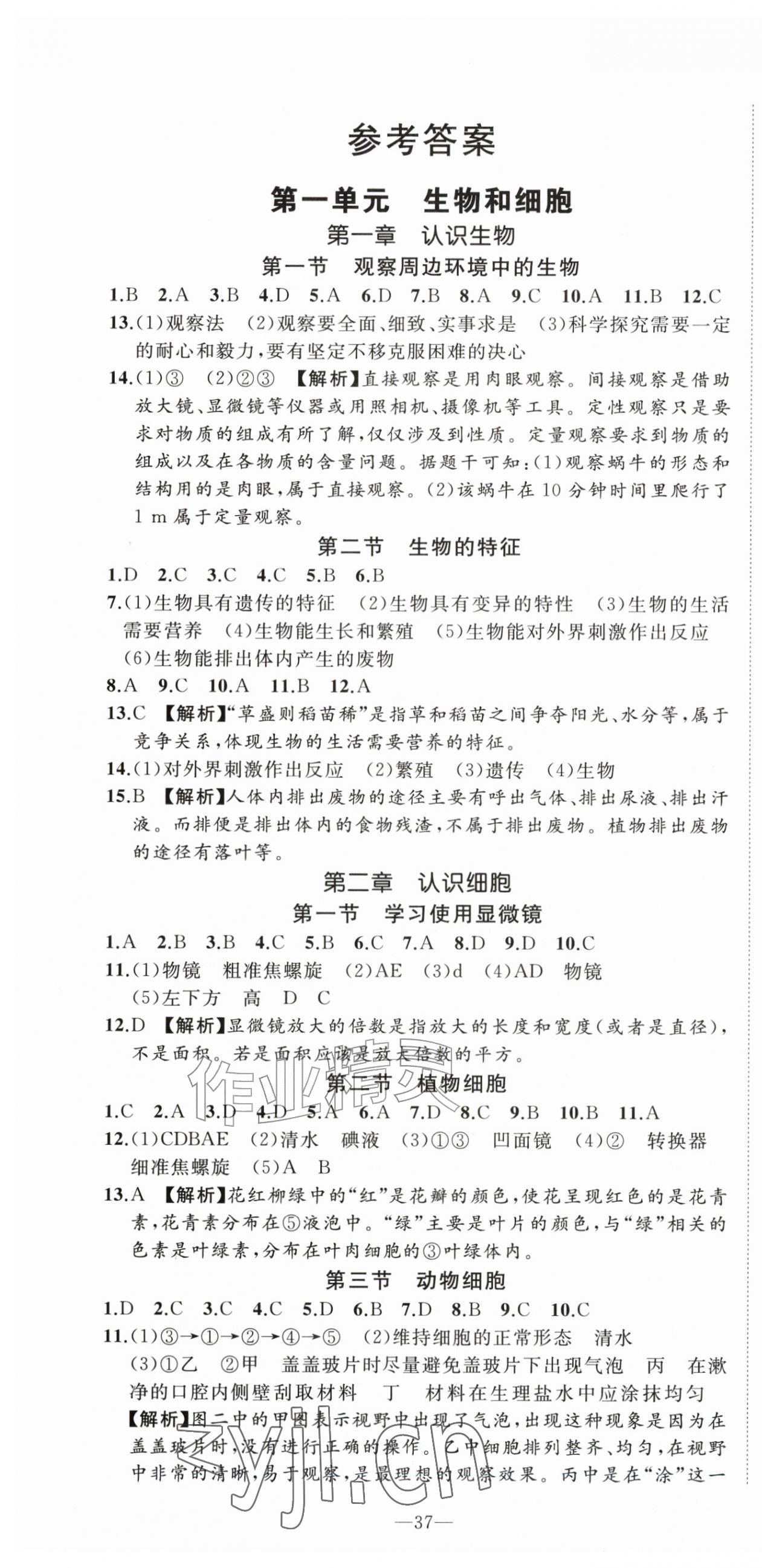 2026年我的作业七年级生物上册人教版&nbsp;第1页