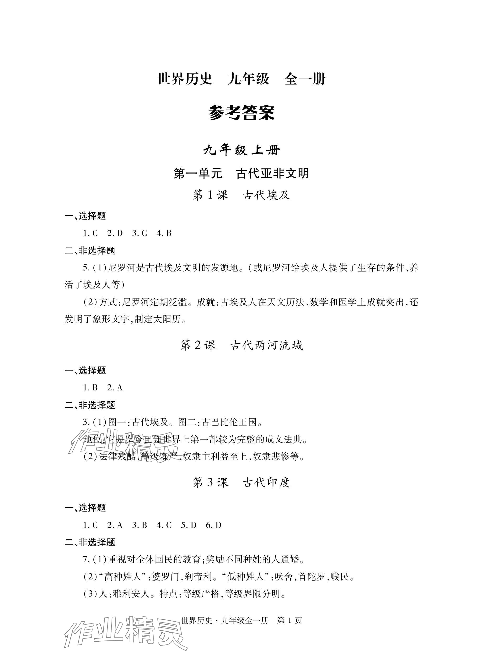 2025年自主学习指导课程与测试九年级历史全一册人教版 参考答案第1页