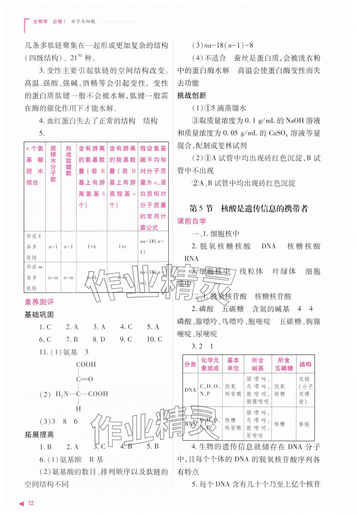 2023年普通高中新课程同步练习册高中生物必修1人教版 参考答案第12页