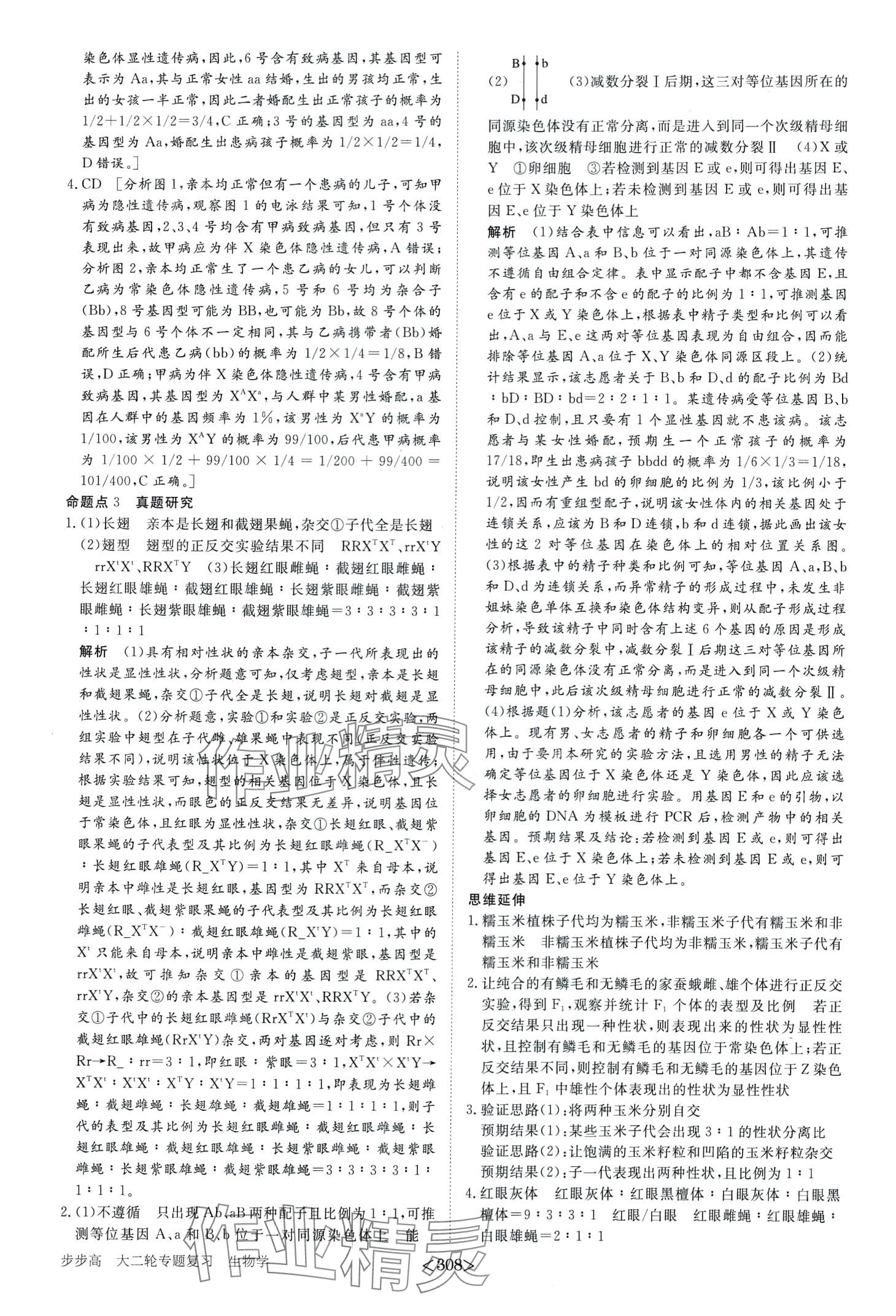 2024年步步高大二輪專題復(fù)習(xí)高中生物 第12頁