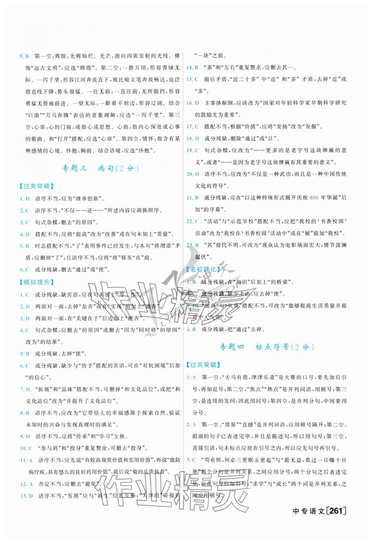 2025年一飞冲天中考专项精品试题分类语文 参考答案第5页