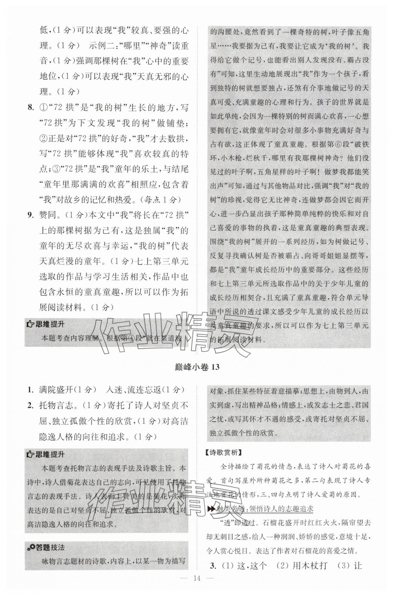 2025年小題狂做七年級語文上冊人教版巔峰版 第14頁