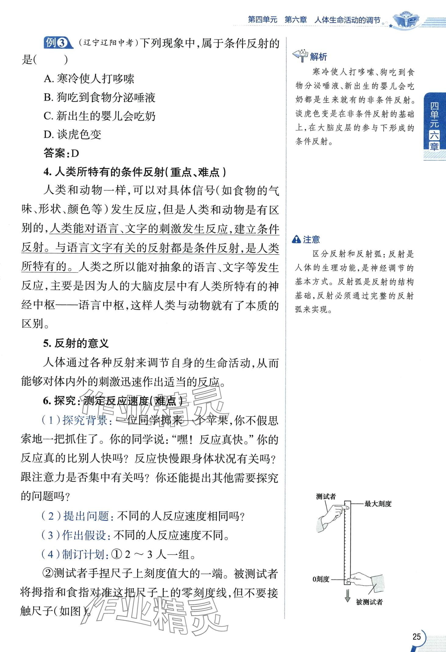 2024年教材课本七年级生物下册鲁科版&nbsp;第25页