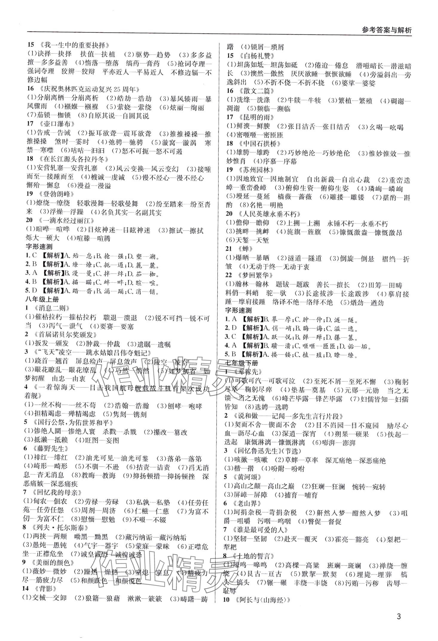 2024年蜀中实至中考总复习语文中考成都专版&nbsp;第3页