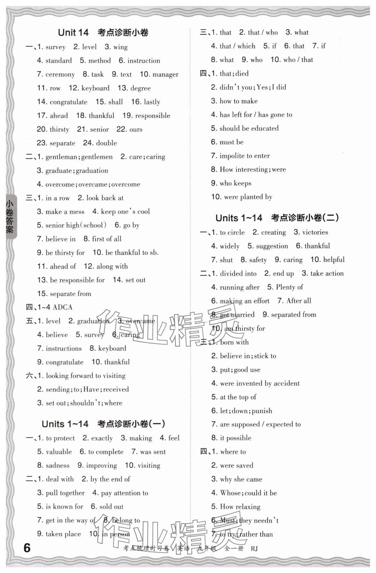 2024年王朝霞考點(diǎn)梳理時(shí)習(xí)卷九年級(jí)英語全一冊人教版 第6頁