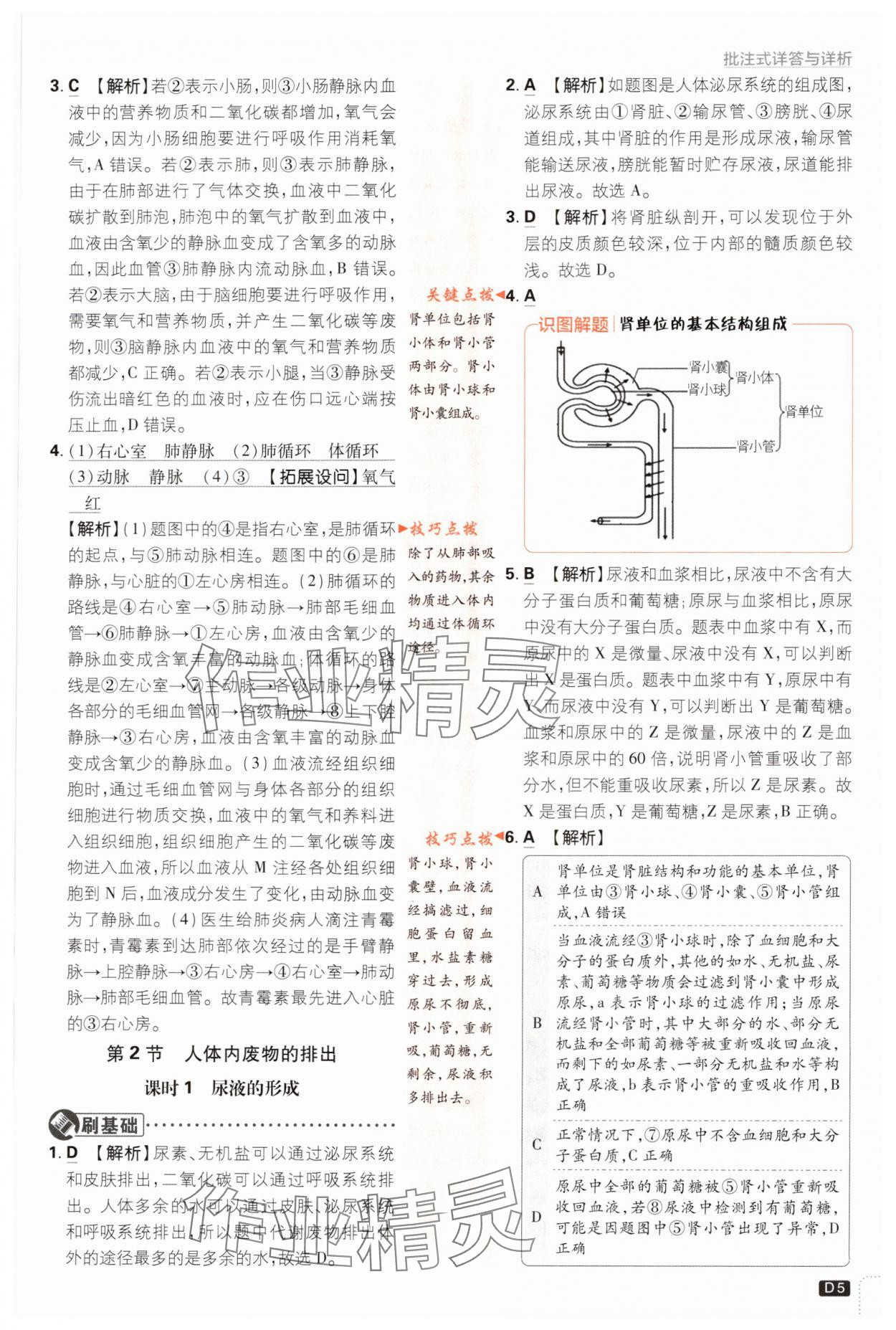 2023年初中必刷题八年级生物上册苏教版 参考答案第5页