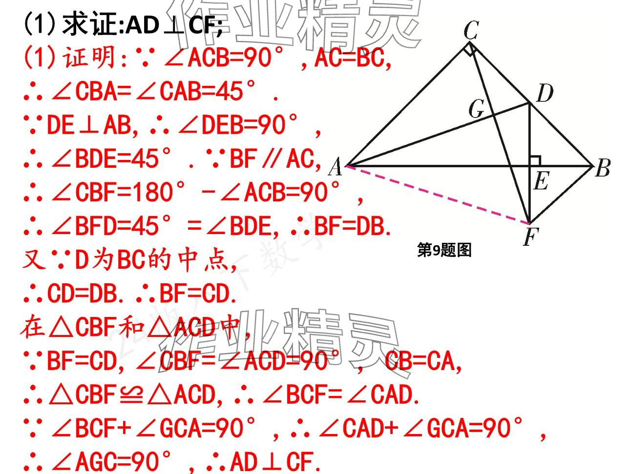 2025年一本通武漢出版社八年級(jí)數(shù)學(xué)下冊(cè)北師大版核心板 參考答案第31頁(yè)