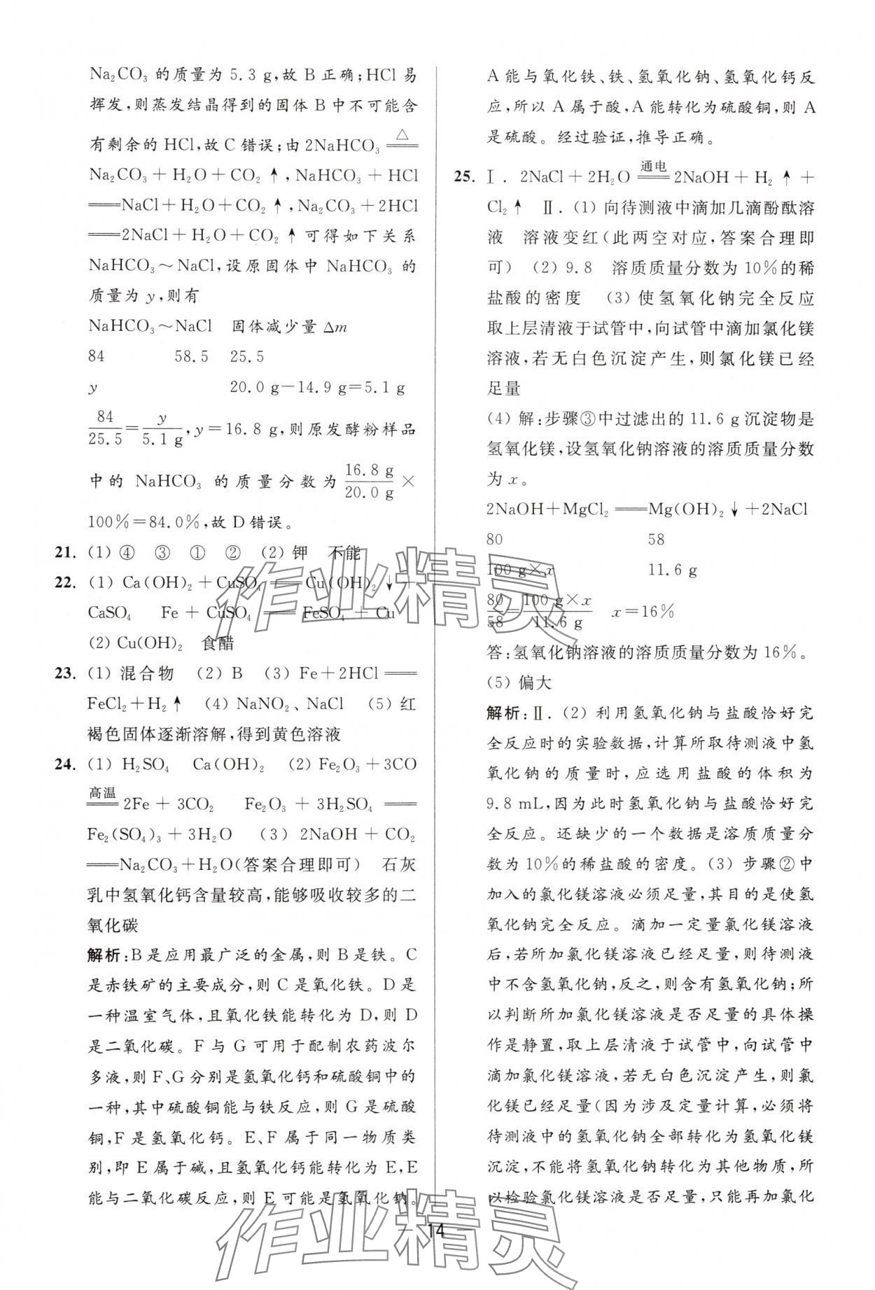 2025年亮点给力大试卷九年级化学下册沪教版 第14页