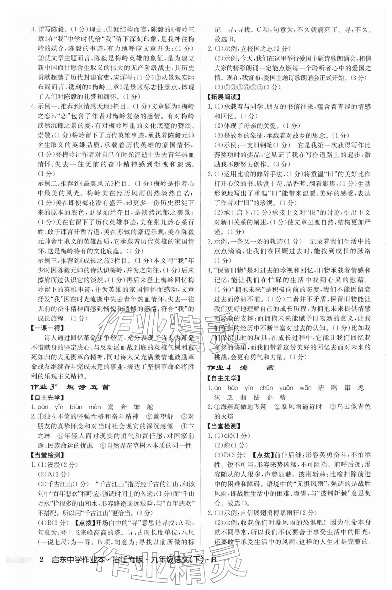 2026年启东中学作业本九年级语文下册人教版宿迁专版 第2页