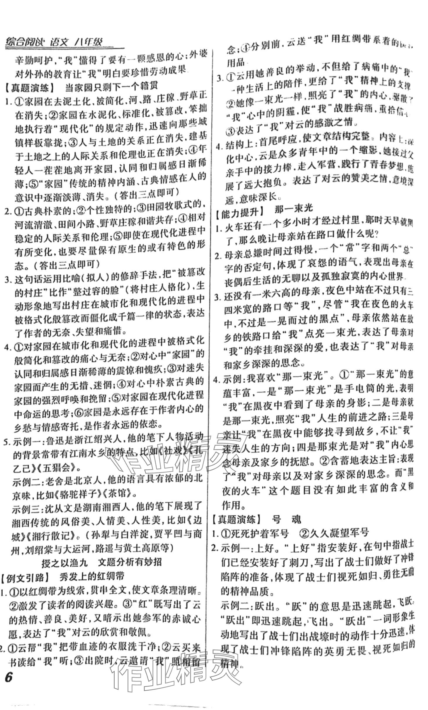 2024年授之以漁綜合閱讀八年級語文人教版 第6頁