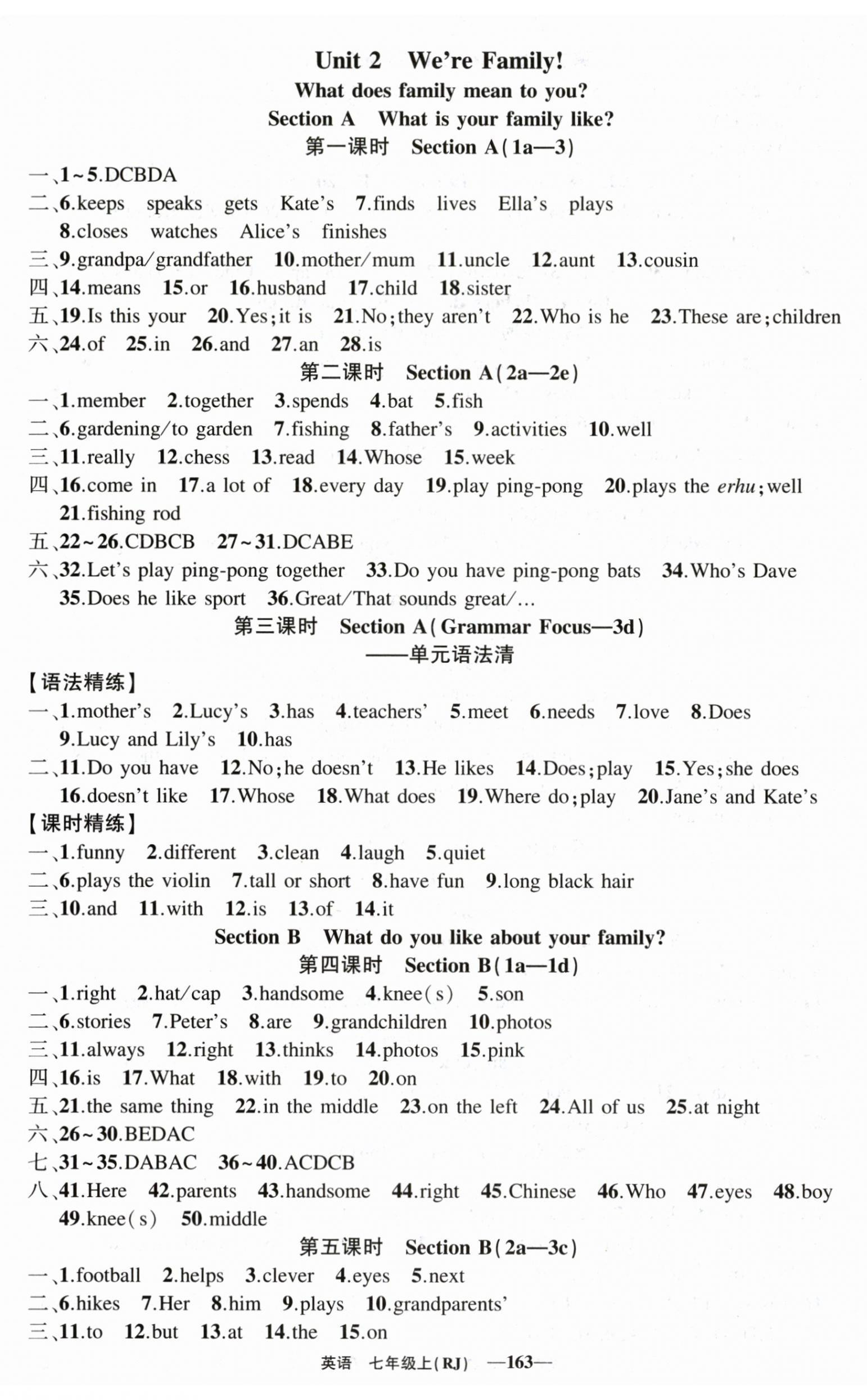 2025年四清导航七年级英语上册人教版河南专版 第5页