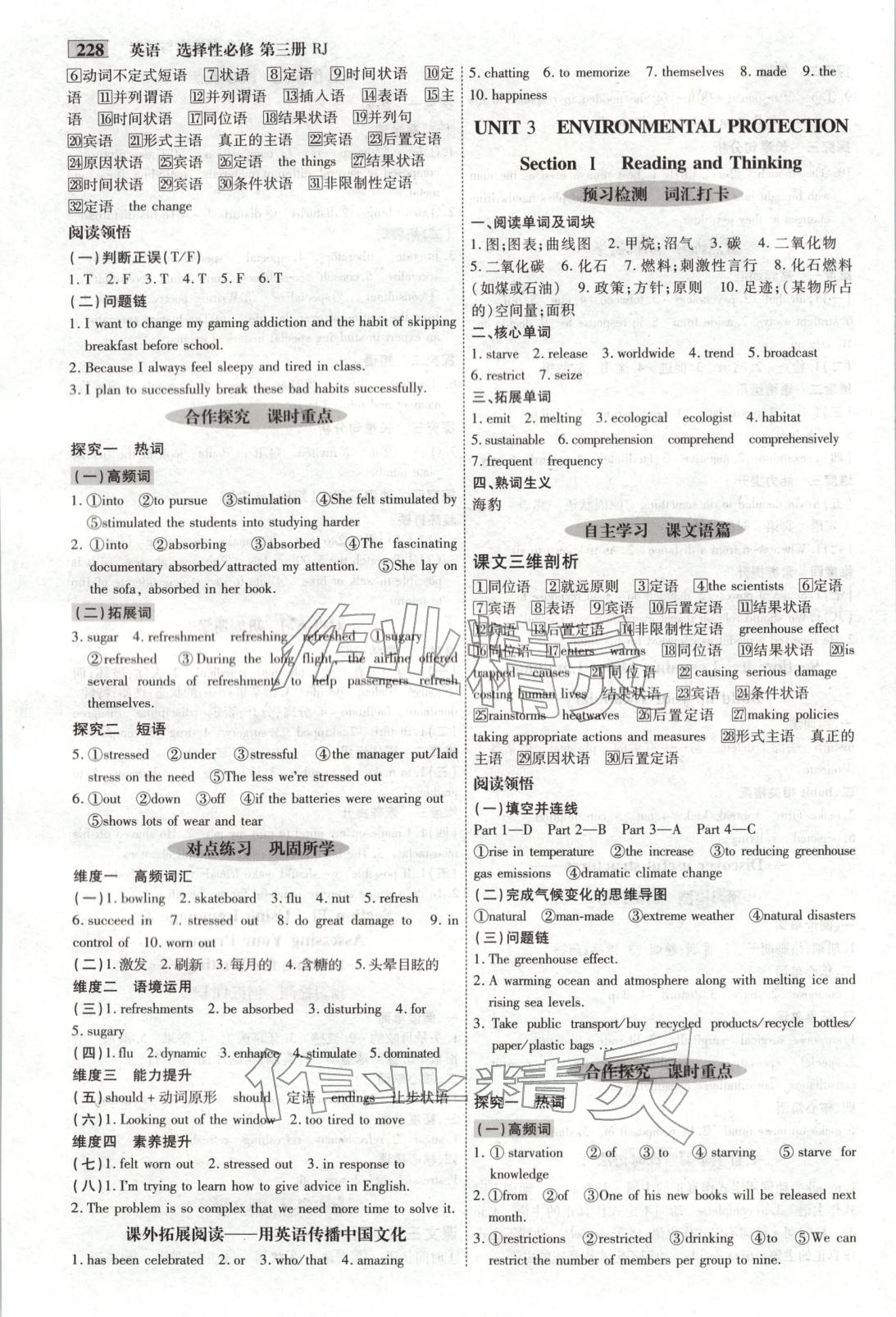 2025年金版教程高中新课程创新导学案高中英语选择性必修第三册人教版 第5页