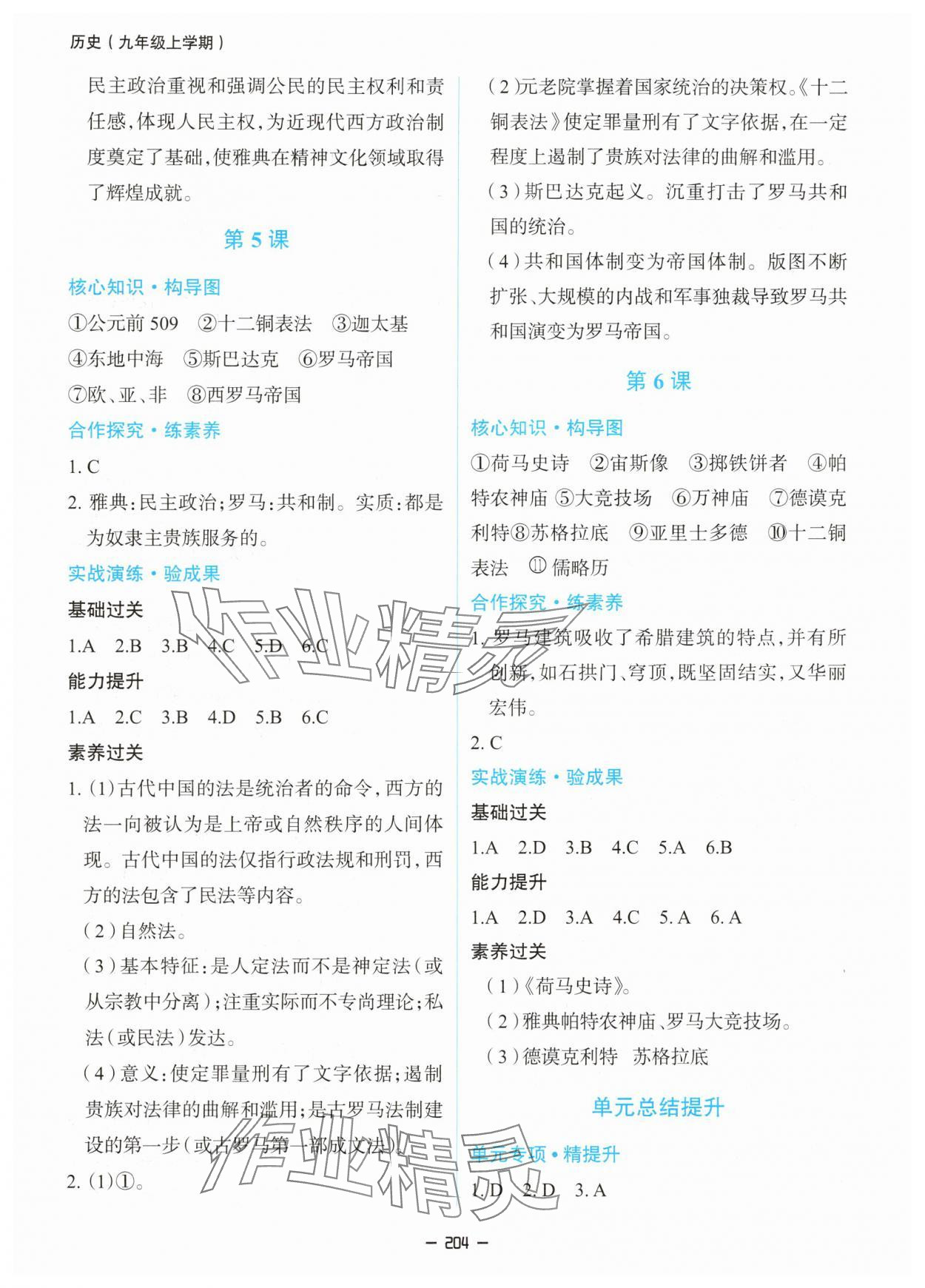 2025年新课堂同步学习与探究九年级历史全一册人教版 第4页