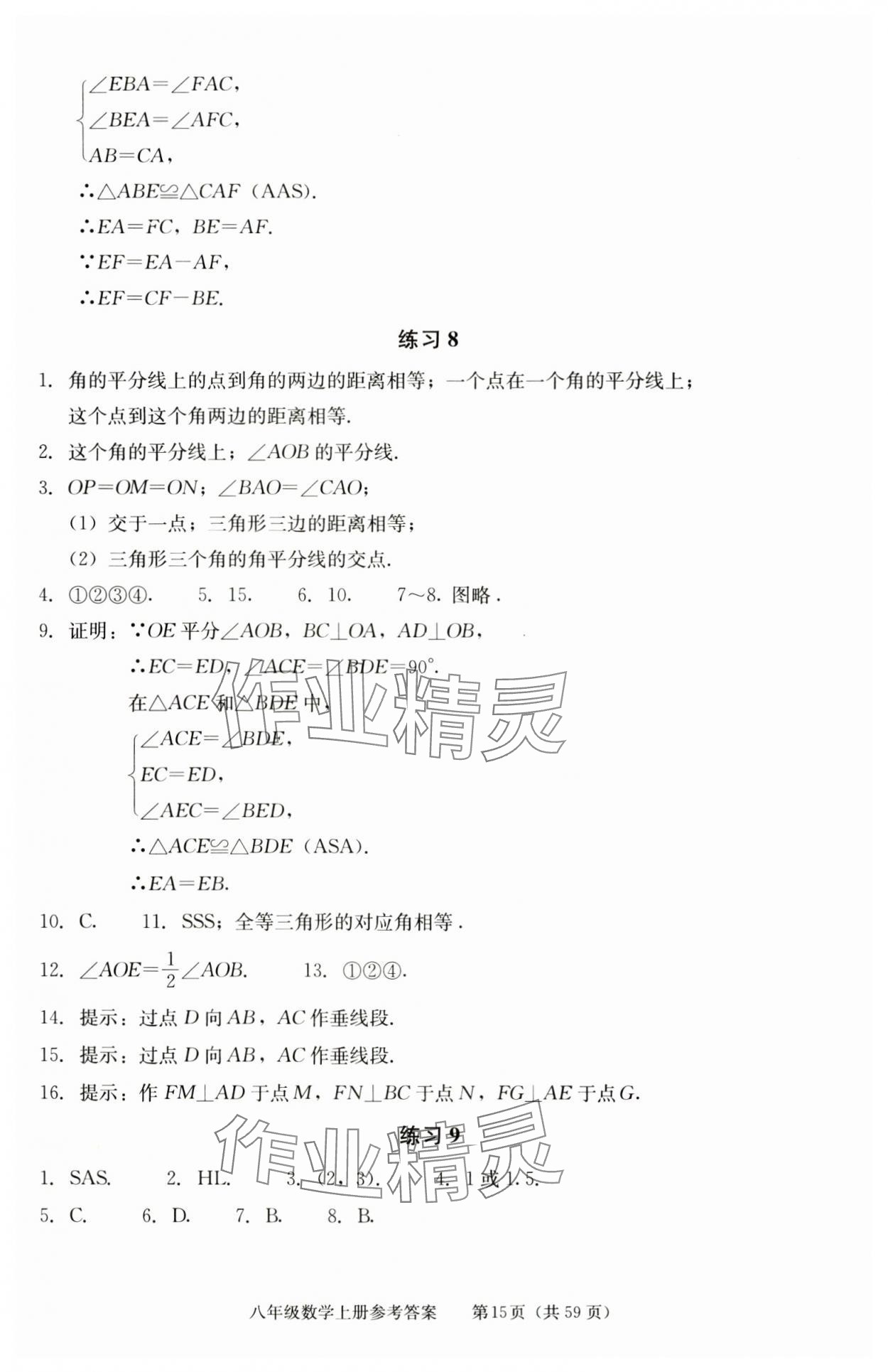2025年学习探究诊断八年级数学上册人教版 参考答案第15页