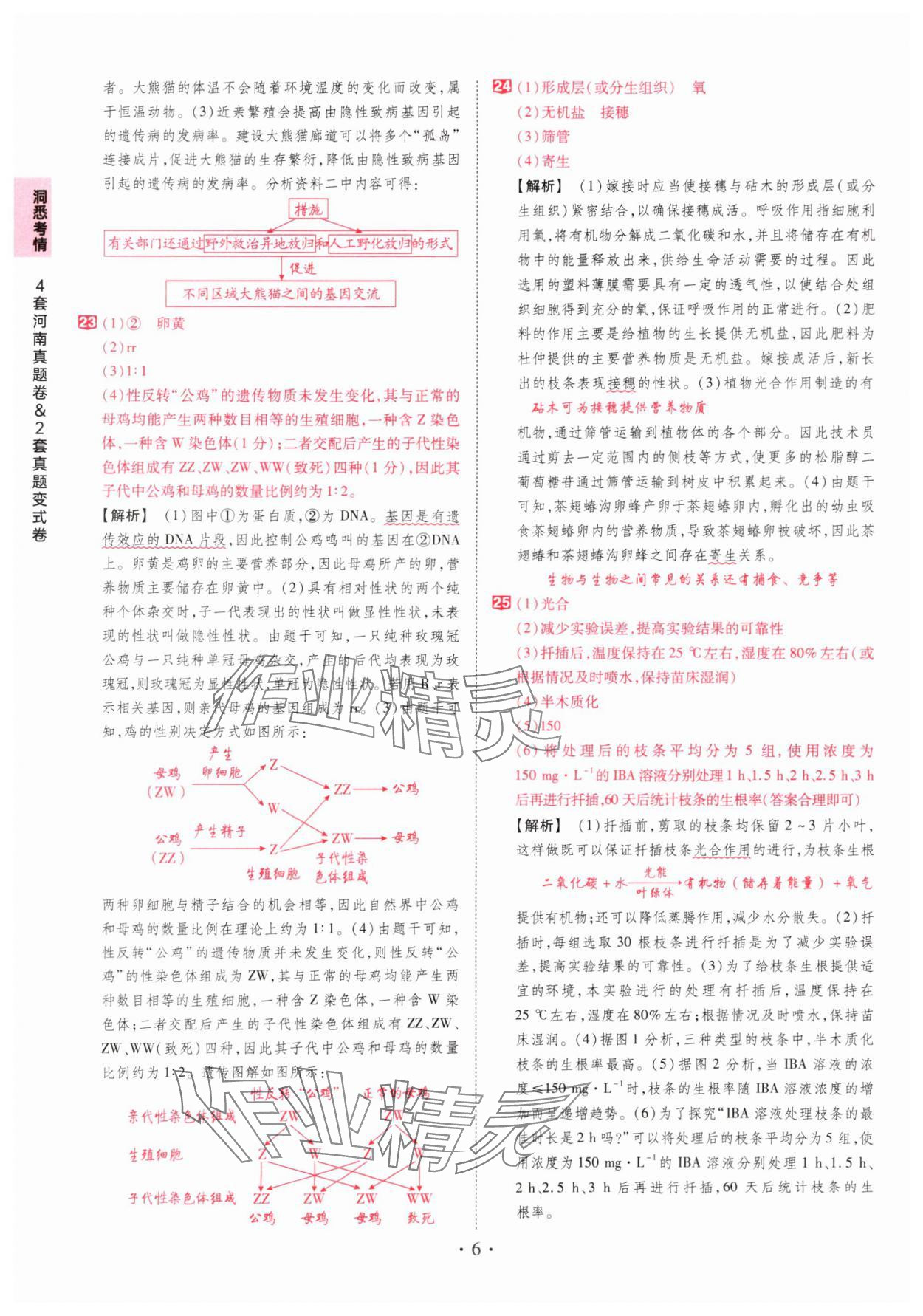 2025年鼎成中考河南中考真題匯編生物中考&nbsp;第6頁