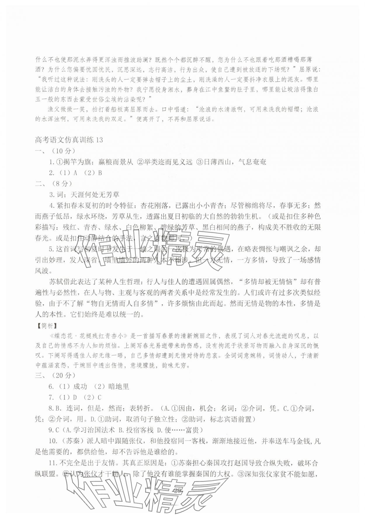 2025年高考語(yǔ)文仿真訓(xùn)練 第29頁(yè)