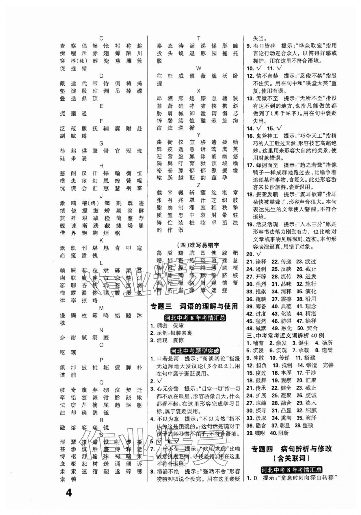 2024年全優(yōu)中考系統(tǒng)總復(fù)習(xí)語文河北專版 參考答案第4頁