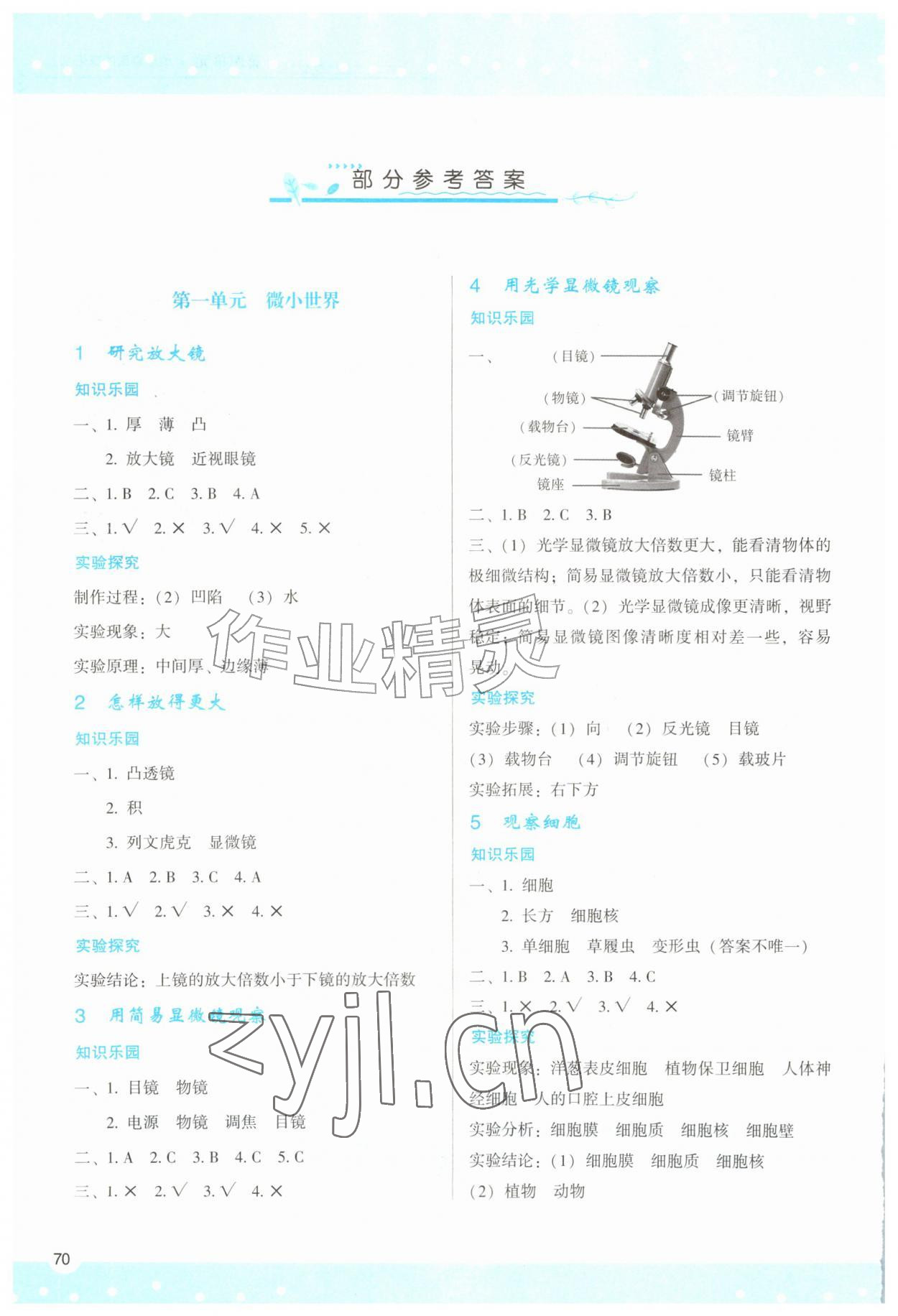 2026年学习与评价陕西五年级科学上册教科版&nbsp;第2页