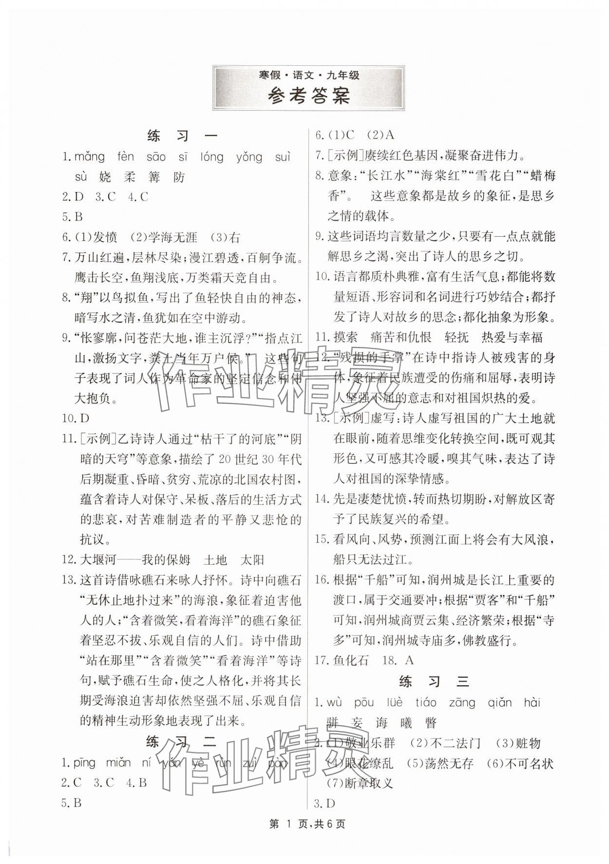 2025年快樂寒假江蘇人民出版社九年級語文 第1頁