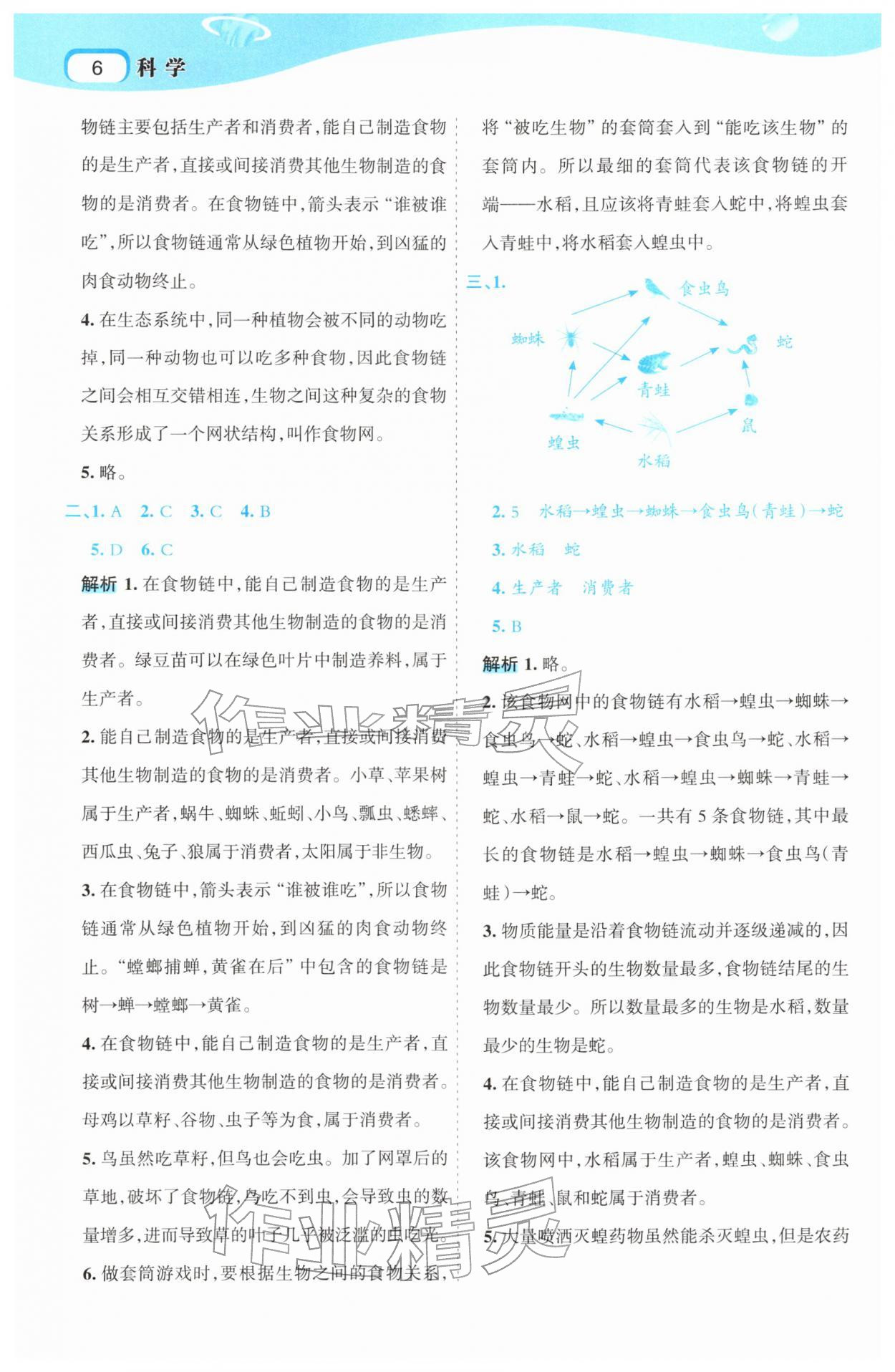 2026年名师面对面先学后练五年级科学下册教科版&nbsp;第10页