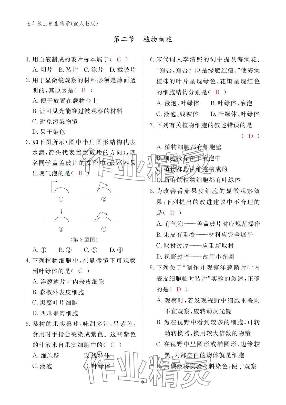 2025年作业本江西教育出版社七年级生物上册人教版 参考答案第6页