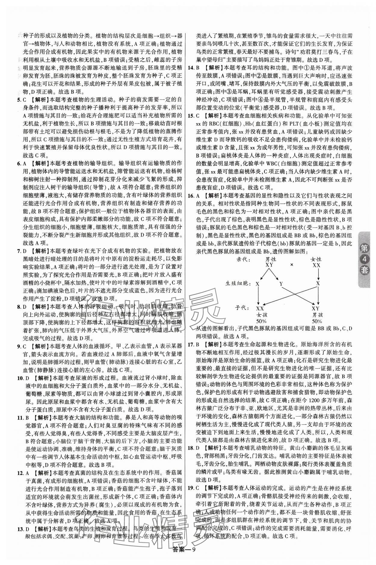 2024年领扬中考卷生物河南专版&nbsp;参考答案第8页