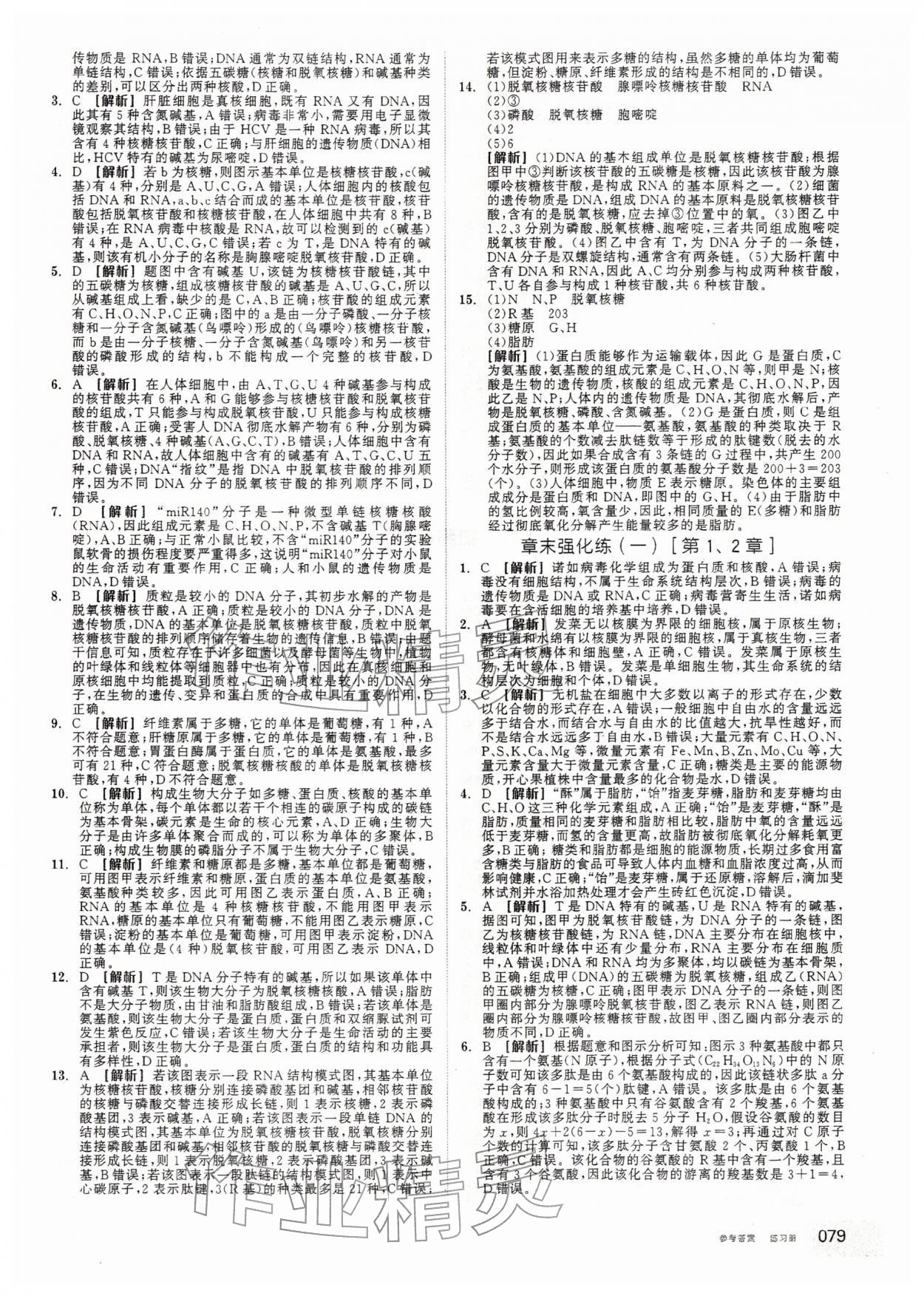 2025年全品學練考高中生物必修1人教版 第5頁