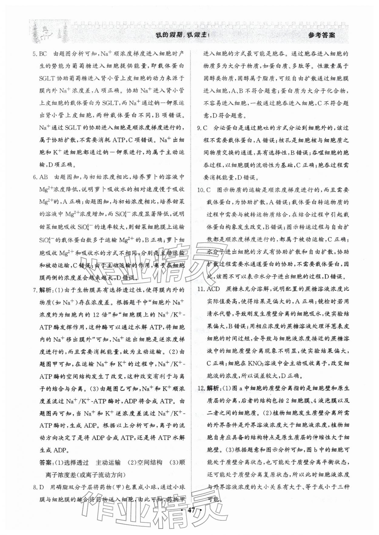 2026年優(yōu)化探究高效作業(yè)高一生物&nbsp;參考答案第5頁(yè)