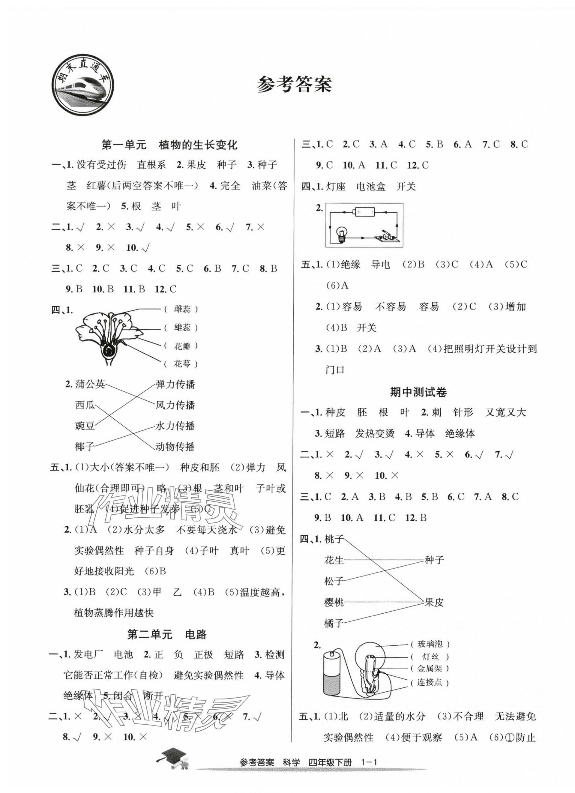 2025年期末直通車四年級科學(xué)下冊教科版 參考答案第1頁