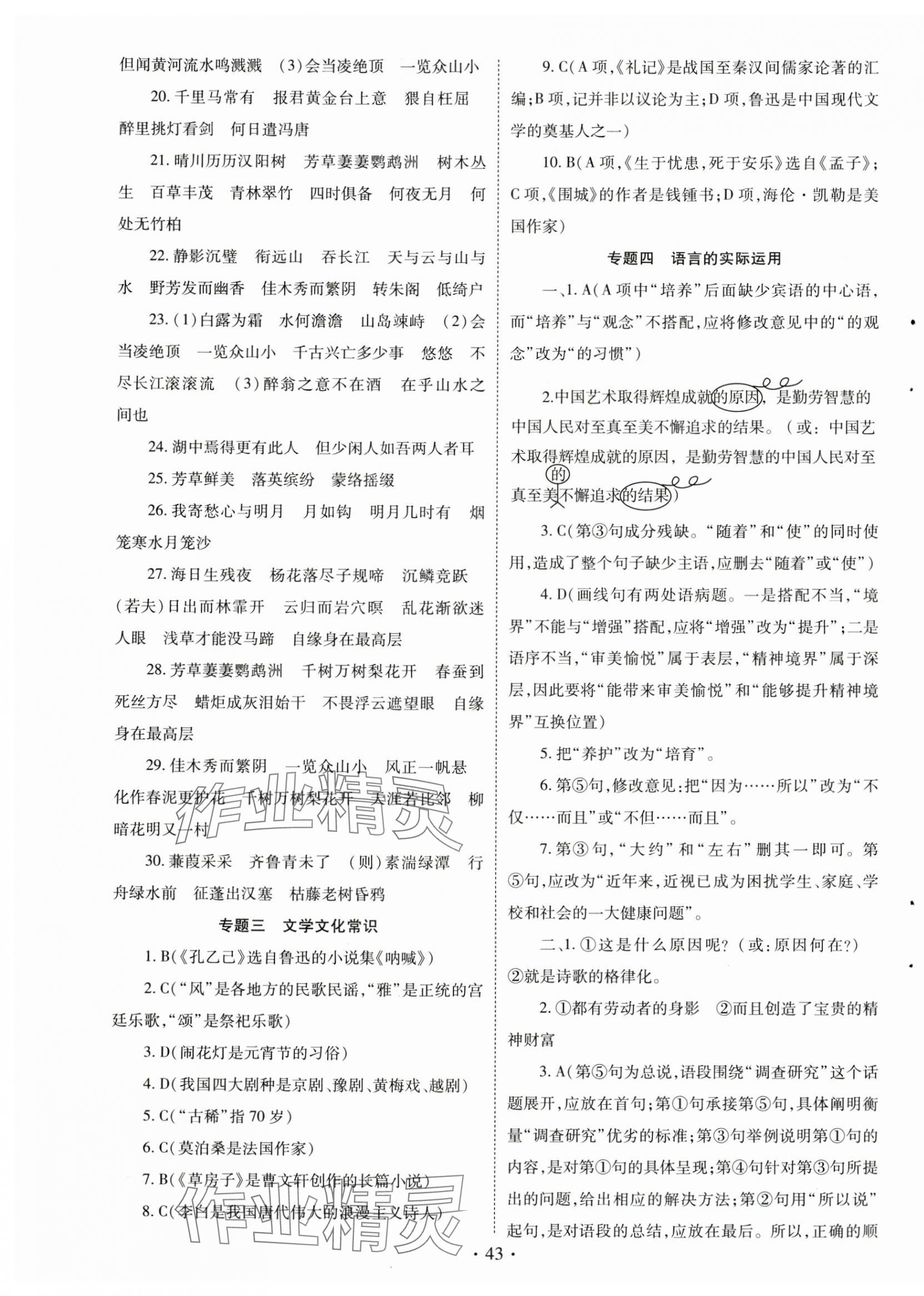 2025年初中學(xué)業(yè)水平考試復(fù)習(xí)指導(dǎo)語(yǔ)文河南專(zhuān)版 第3頁(yè)
