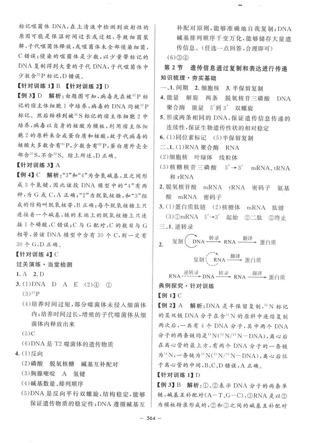 2024年鐘書金牌金典導學案高中生物滬教版上海專版 第10頁