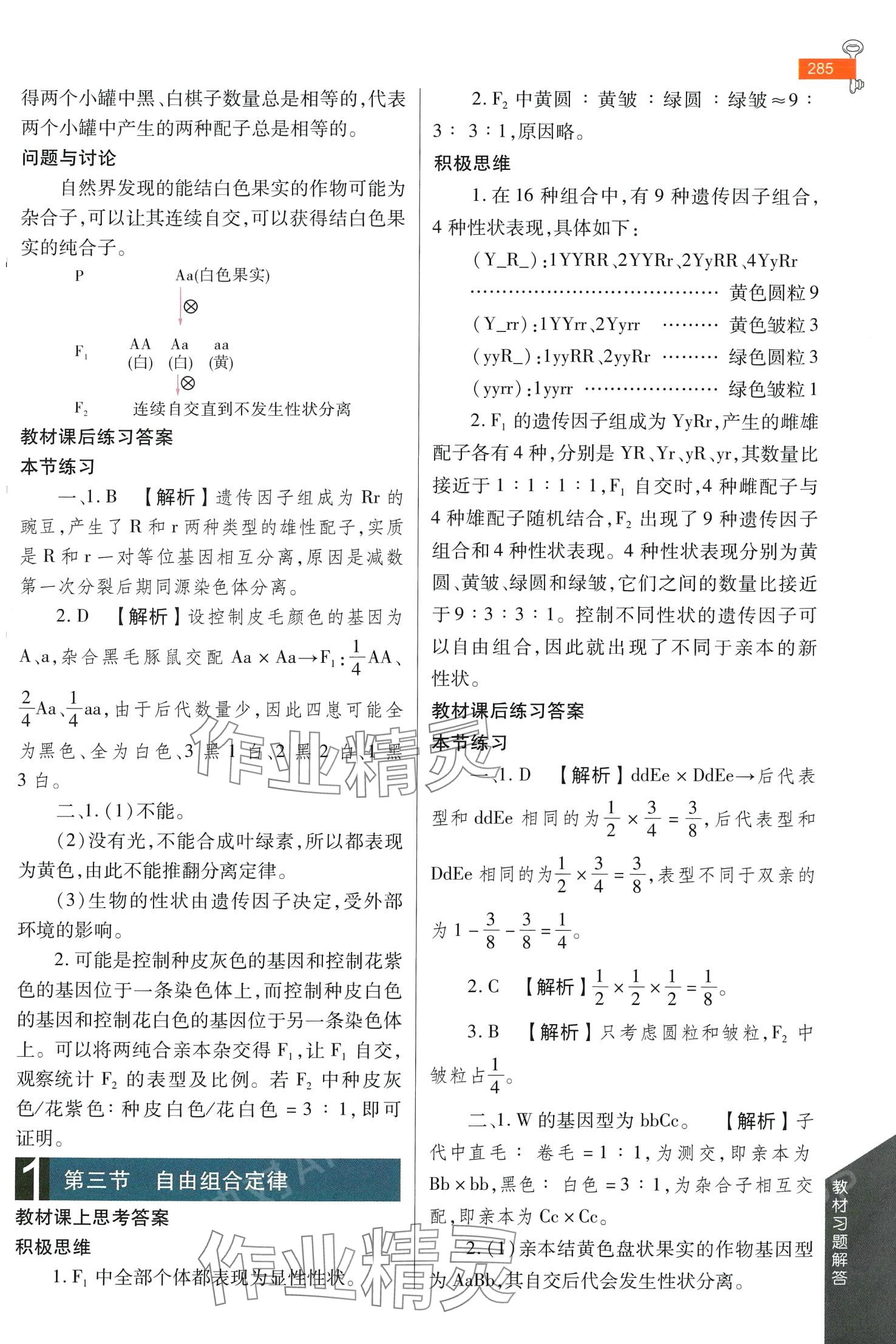 2024年教材课本高中生物必修2苏教版 第2页