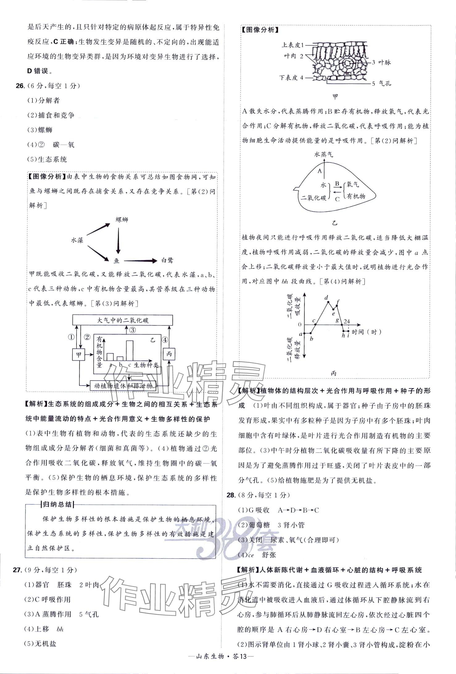 2024年天利38套中考試題精選生物中考山東專版 第13頁