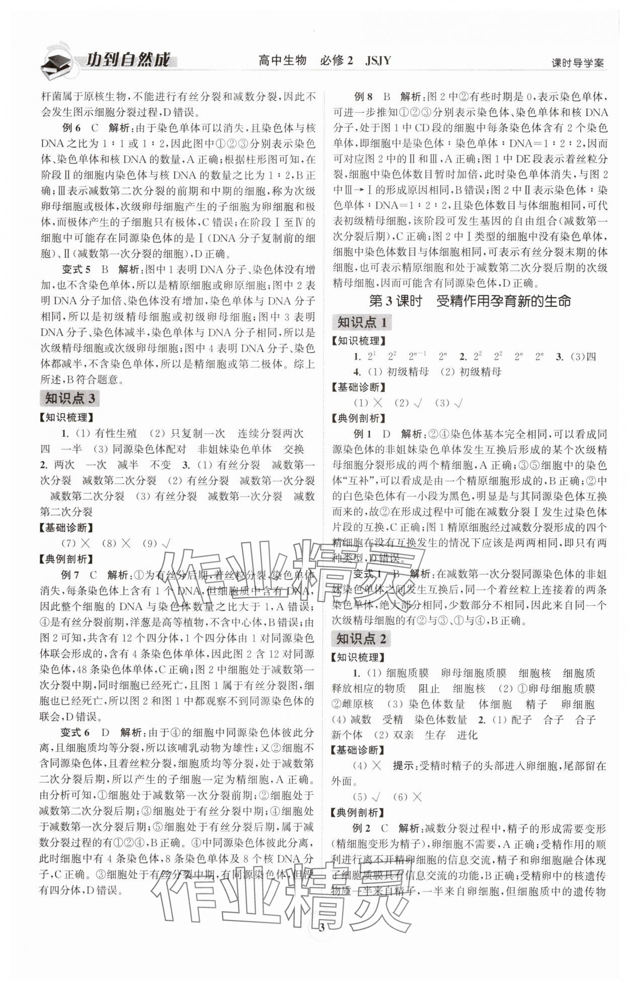 2025年功到自然成高中生物必修2蘇教版 參考答案第3頁