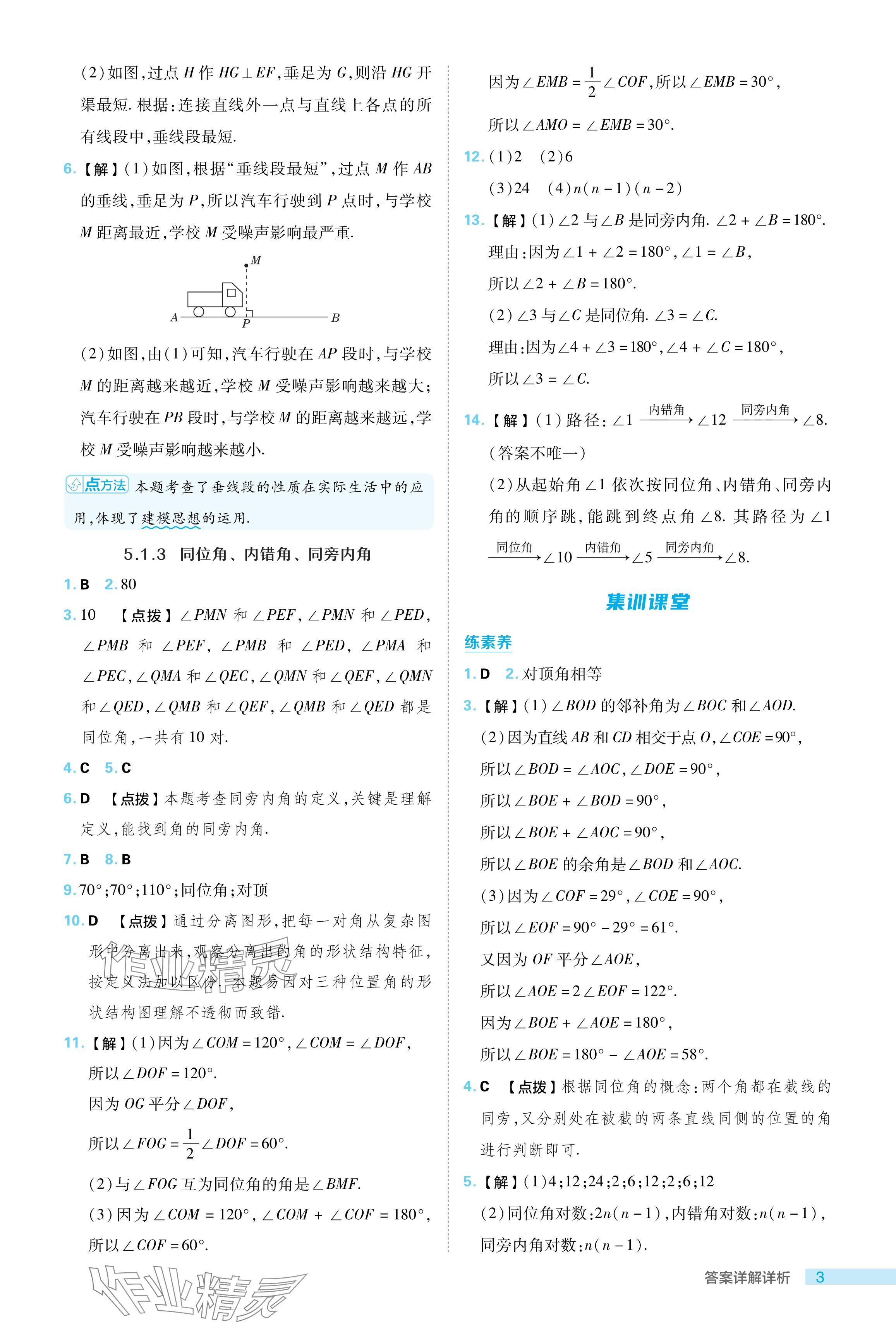 2024年综合应用创新题典中点七年级数学下册人教版 参考答案第3页