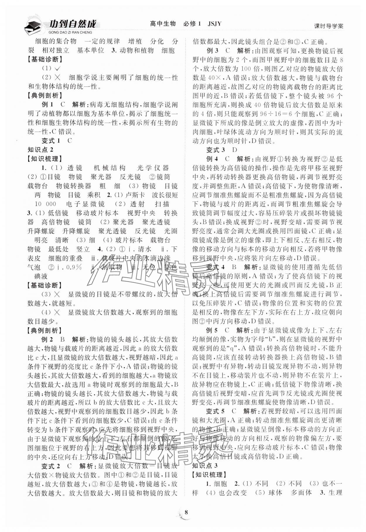 2023年功到自然成課時(shí)導(dǎo)學(xué)案高中生物必修1蘇教版 第8頁