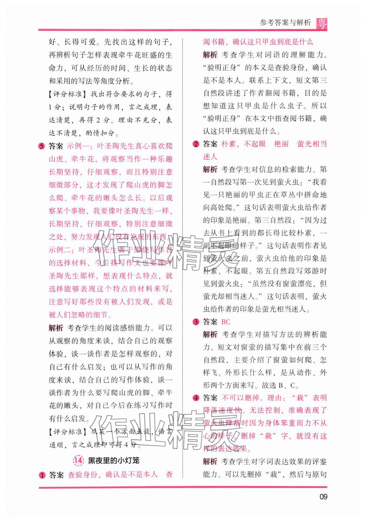 2025年木頭馬閱讀力測評小學語文四年級人教版培優(yōu)篇A版廣東專版 第9頁
