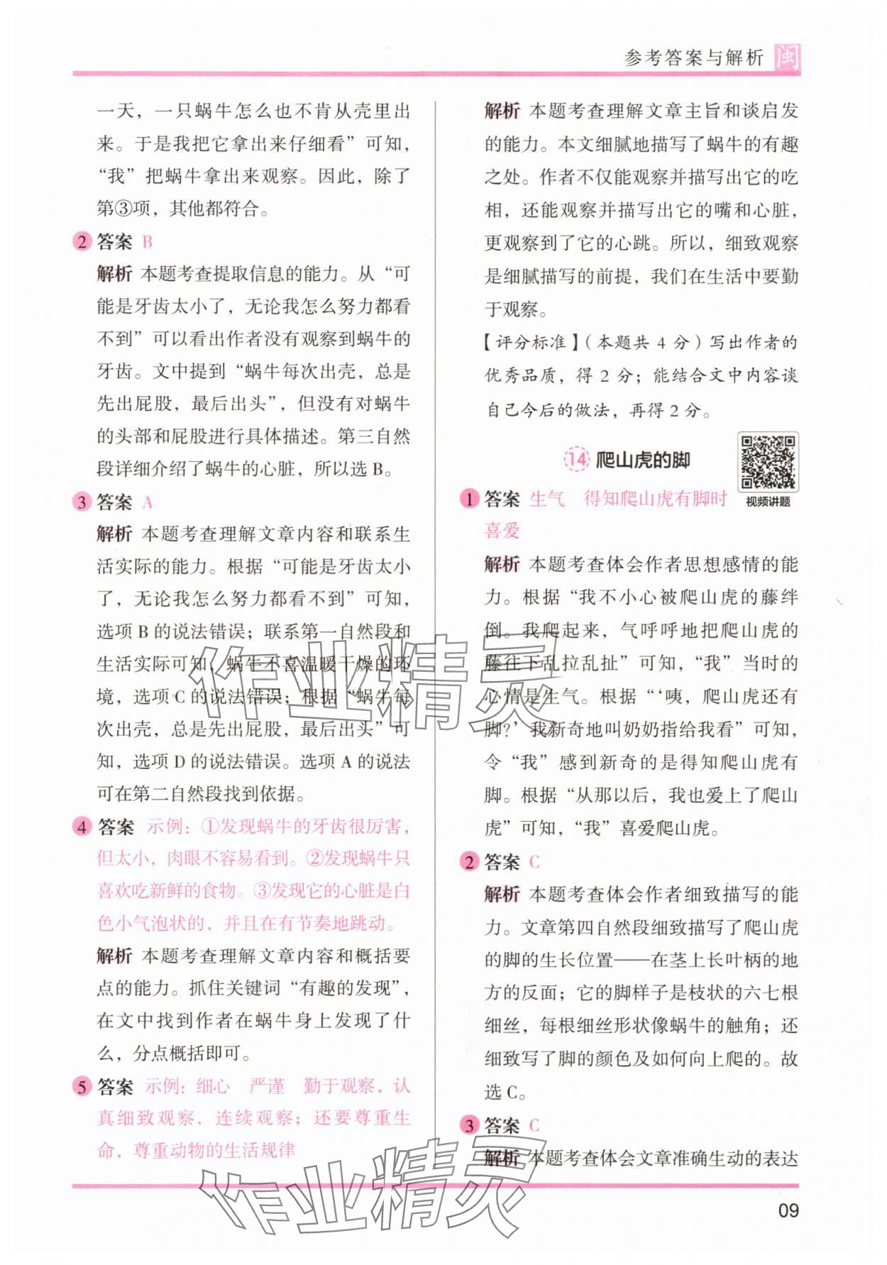 2025年木頭馬閱讀力測評四年級語文部編版A版福建專版 第9頁