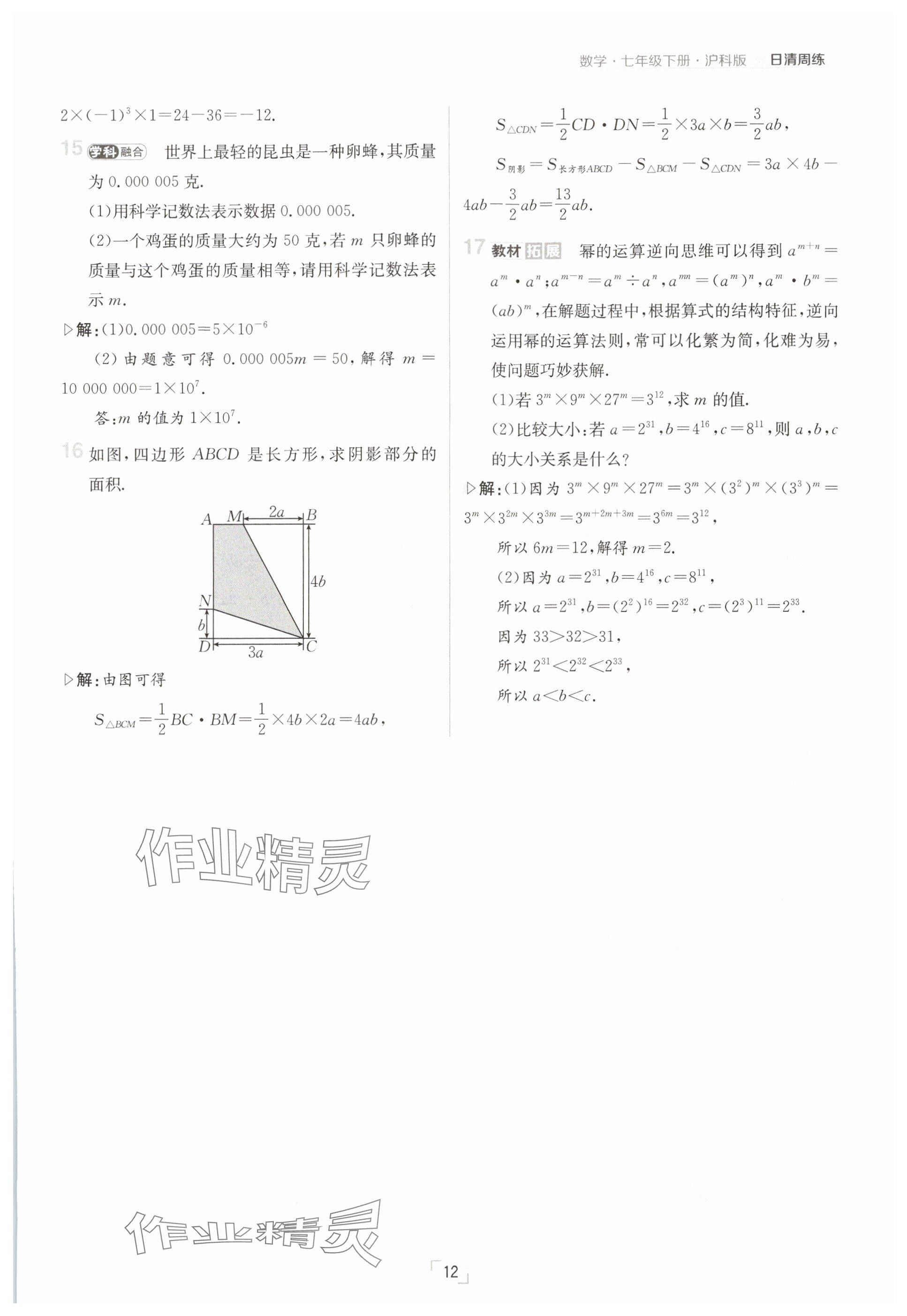 2025年日清周練七年級數(shù)學(xué)下冊滬科版 參考答案第12頁