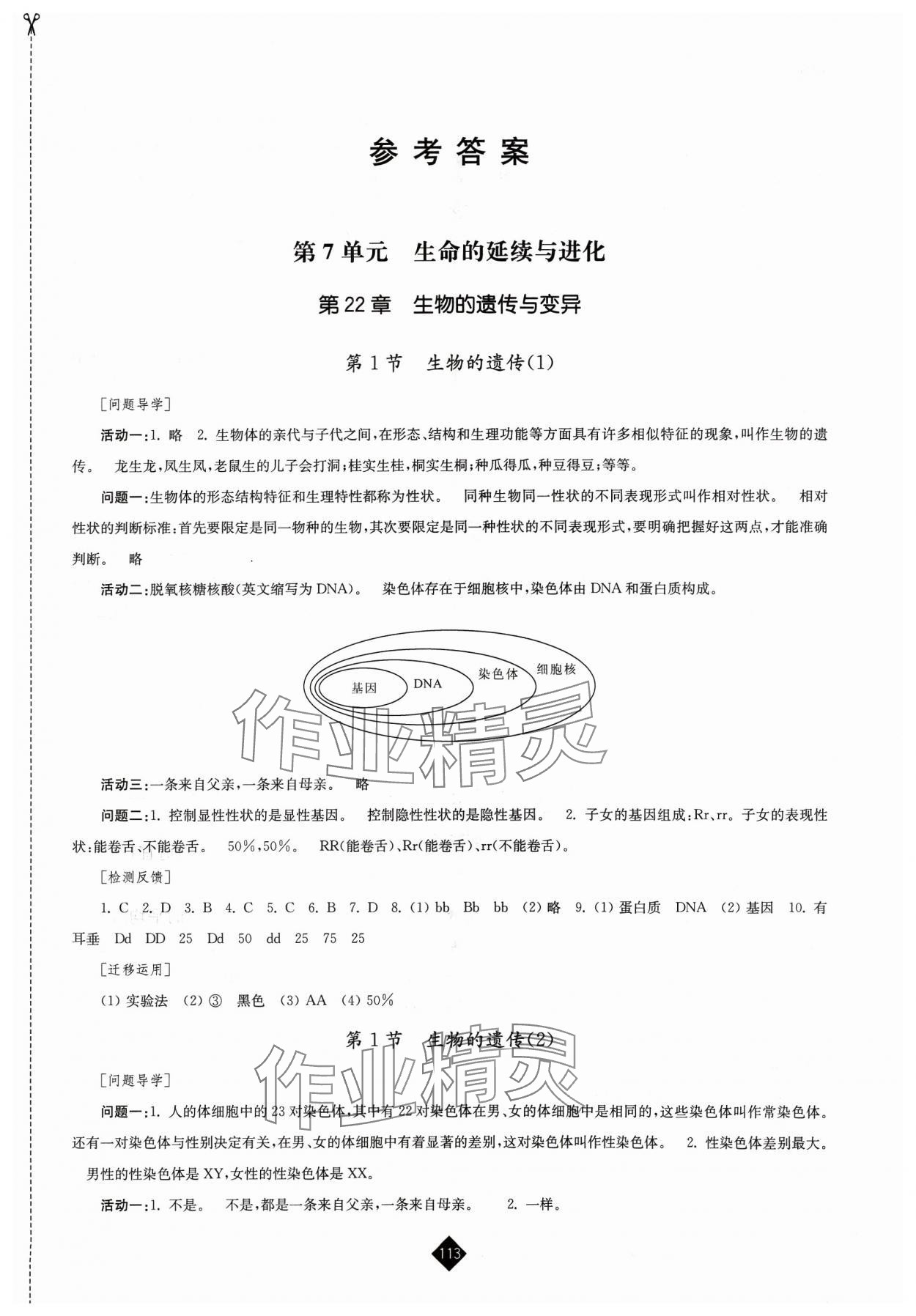 2024年伴你学八年级生物下册苏科版 第1页