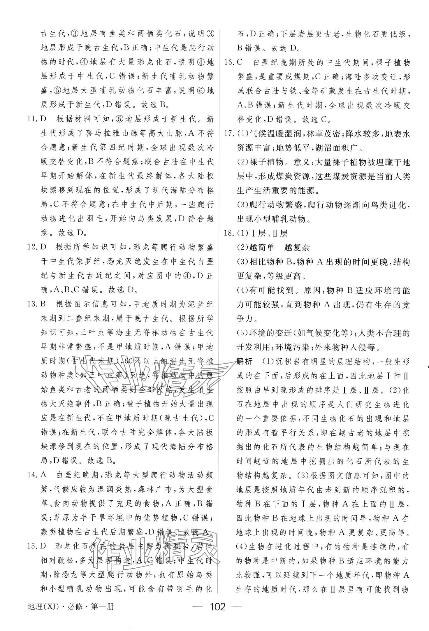 2024年綠色通道45分鐘課時作業(yè)與單元測評高中地理必修第一冊 第8頁