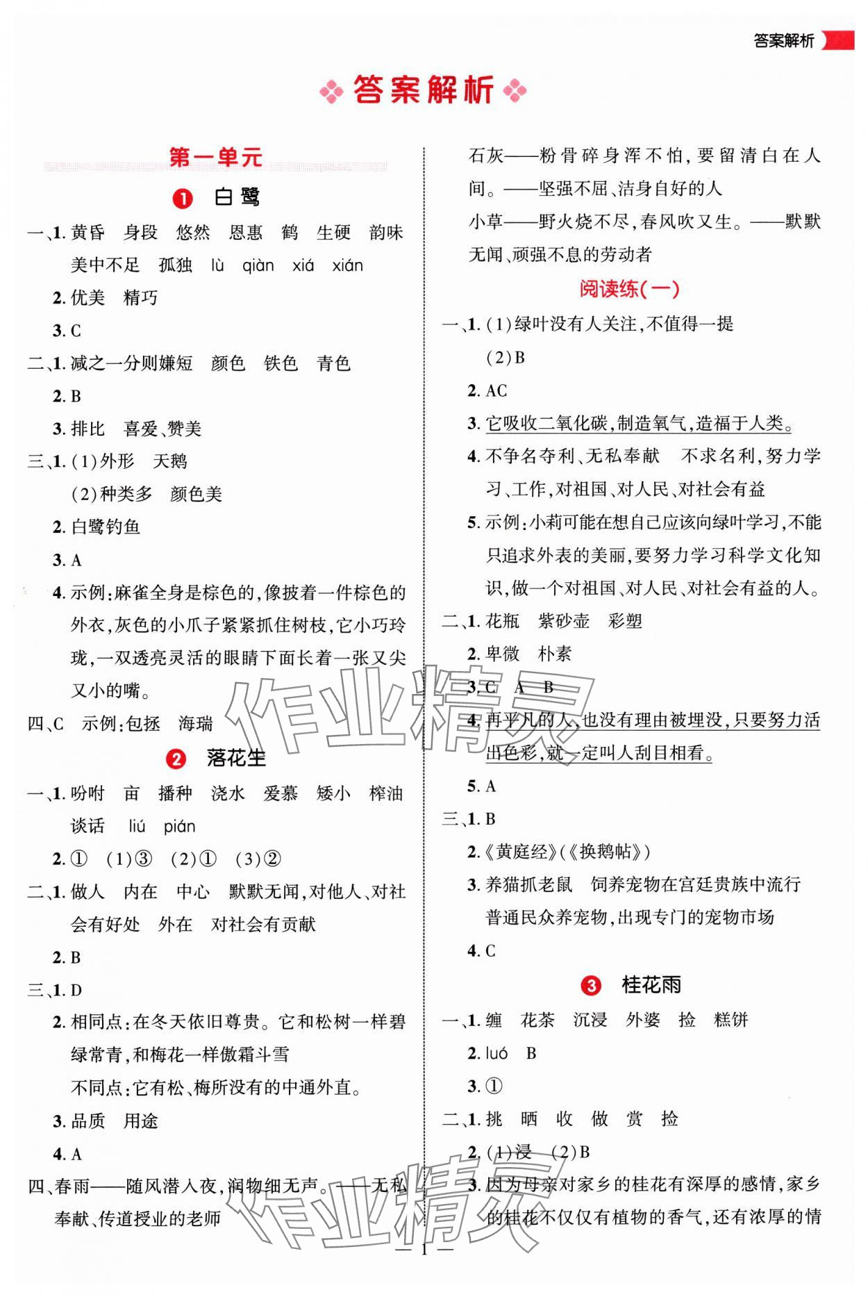 2025年细解巧练五年级语文上册人教版 第1页