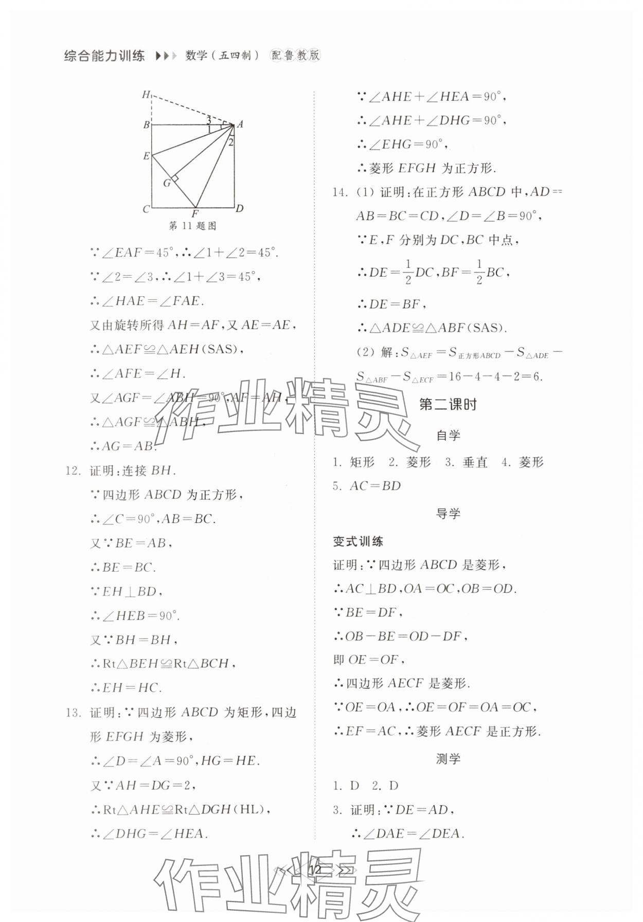 2025年綜合能力訓練八年級數學下冊魯教版54制 參考答案第11頁
