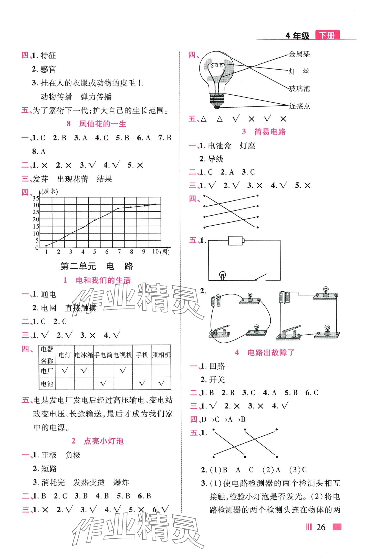 2024年顶尖训练四年级科学下册教科版 第2页