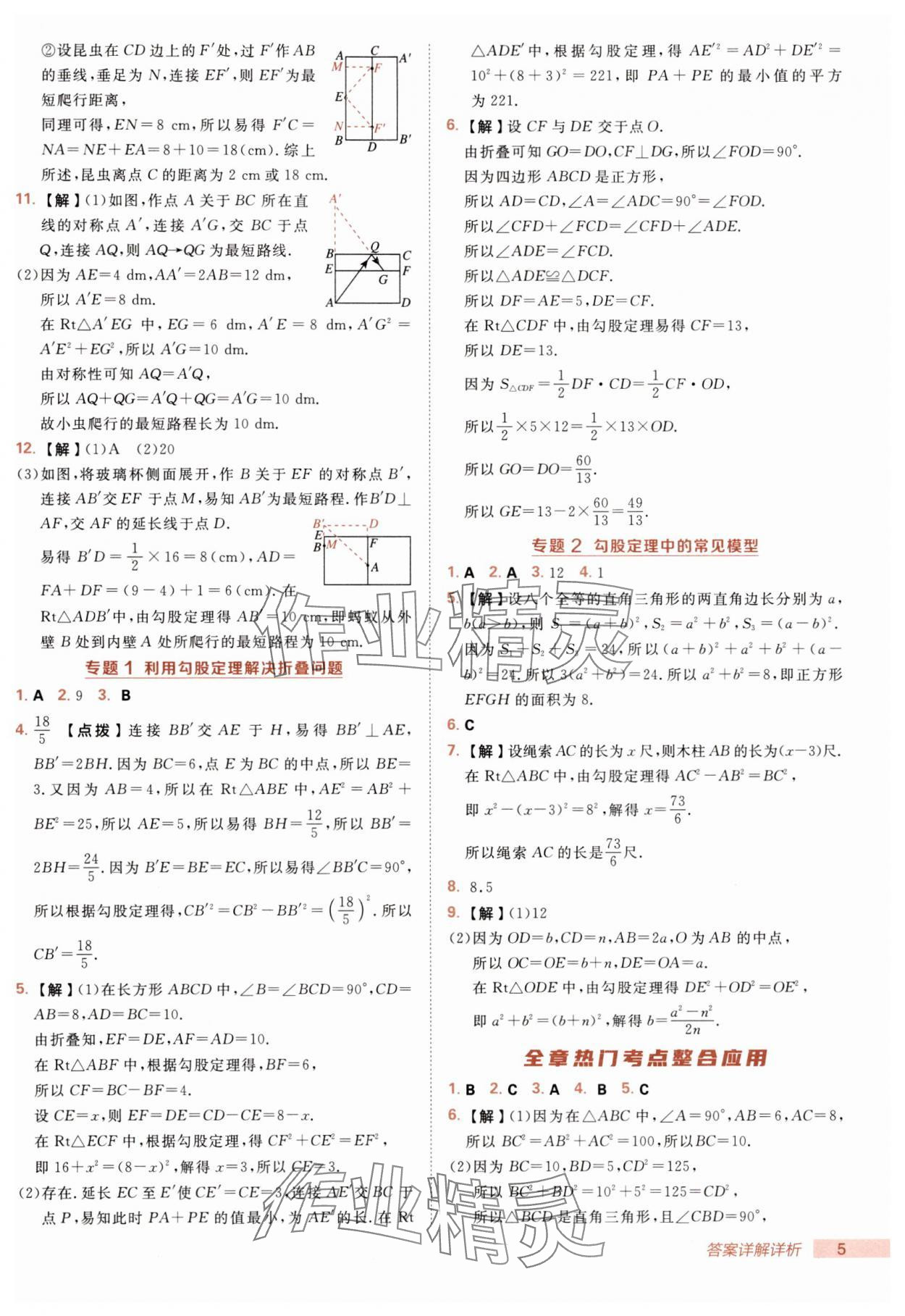 2025年综合应用创新题典中点八年级数学上册北师大版 第5页