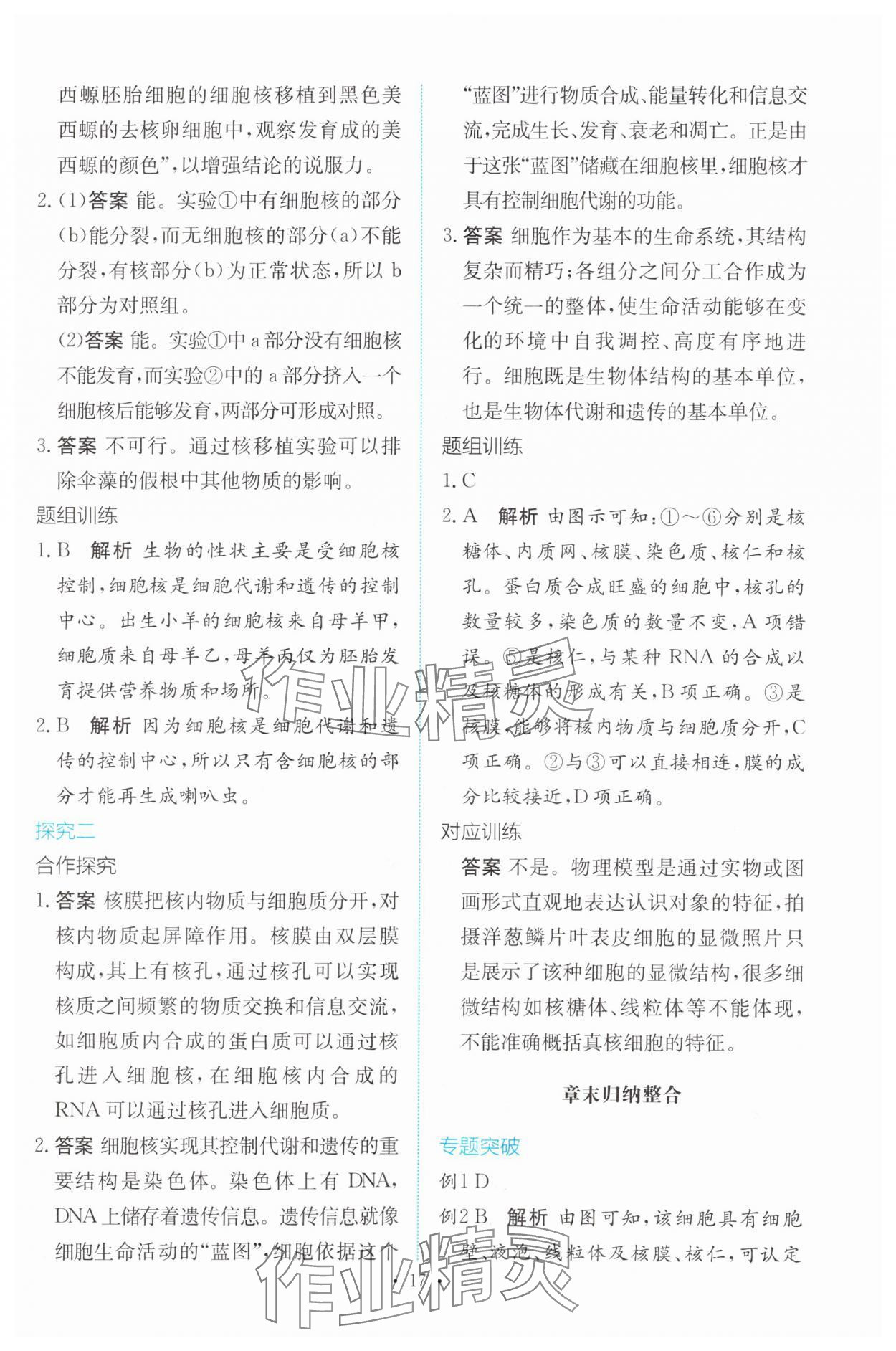 2023年能力培養(yǎng)與測試高中生物必修1人教版 參考答案第16頁